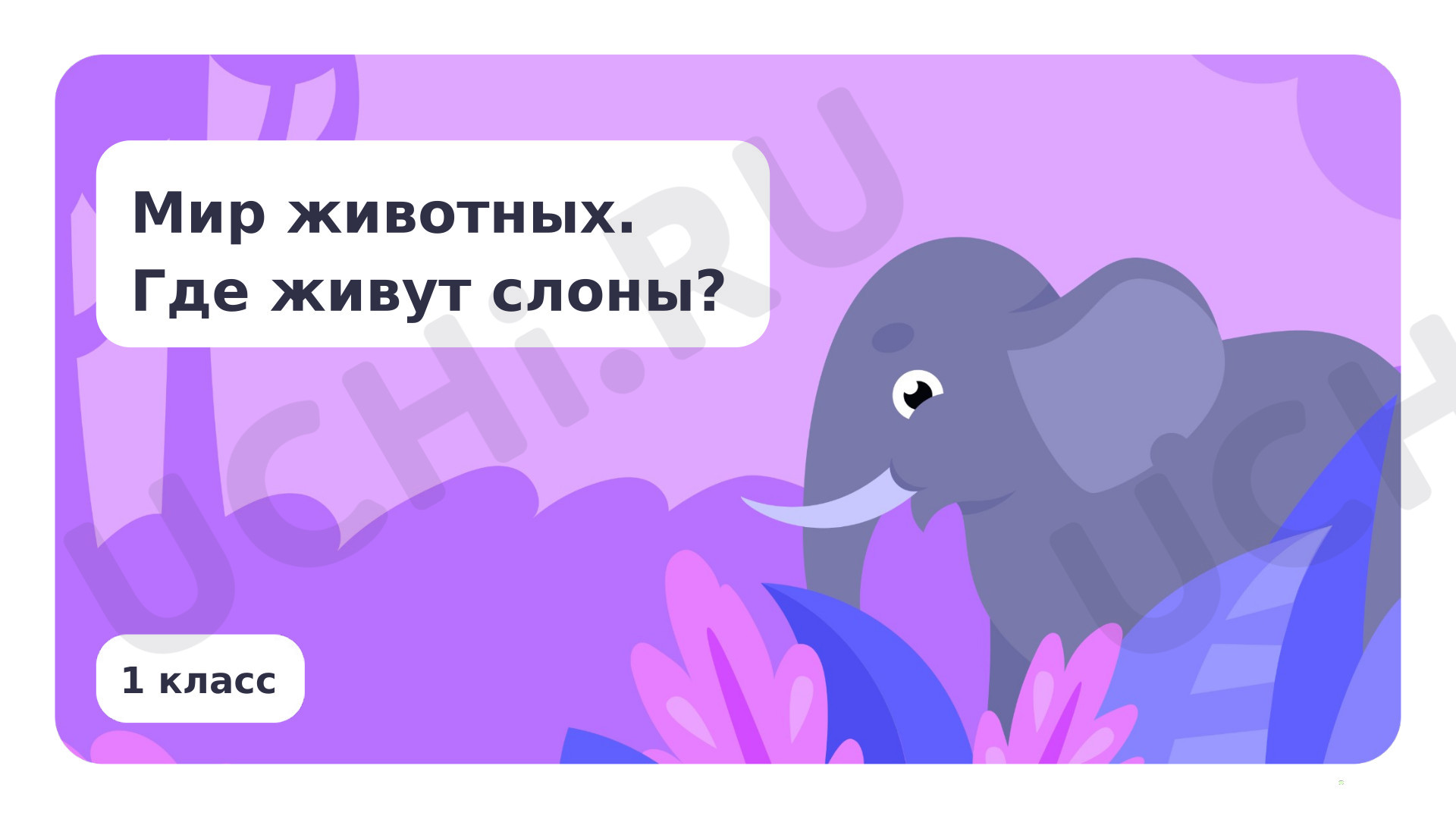 Предпросмотр материала Мир животных. Где живут слоны?