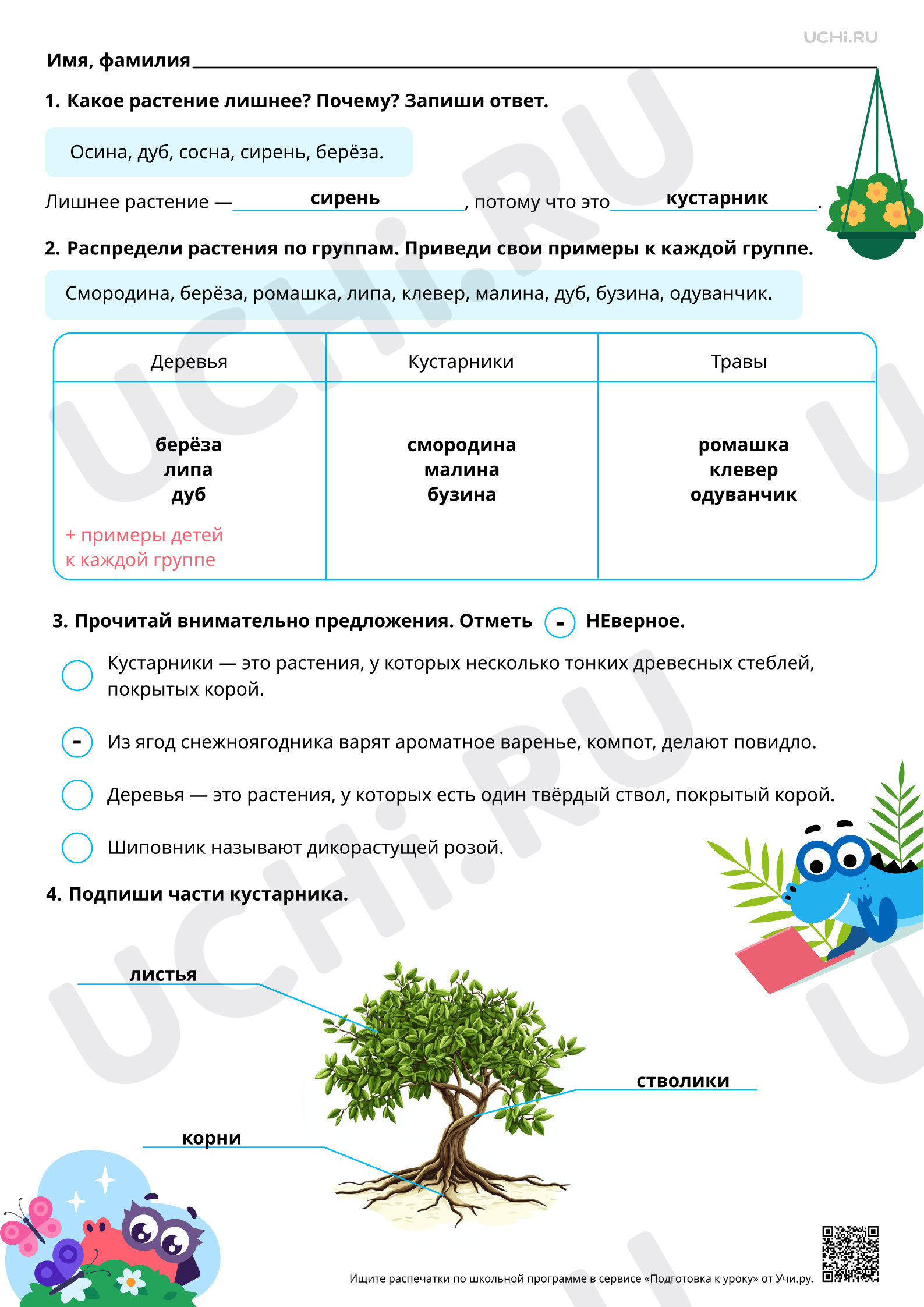 Предпросмотр материала Кустарники нашего края: узнавание, название, краткое описание. Ответы