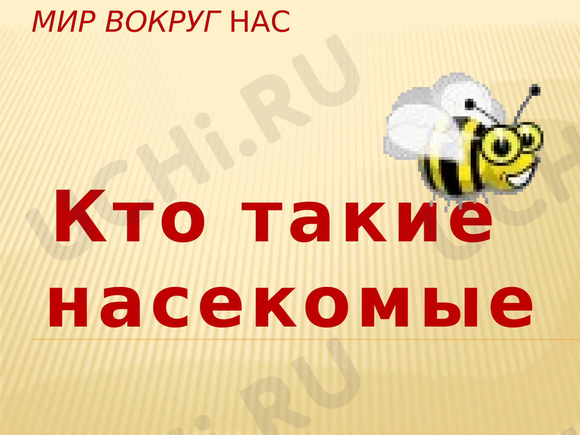 Предпросмотр материала Насекомые