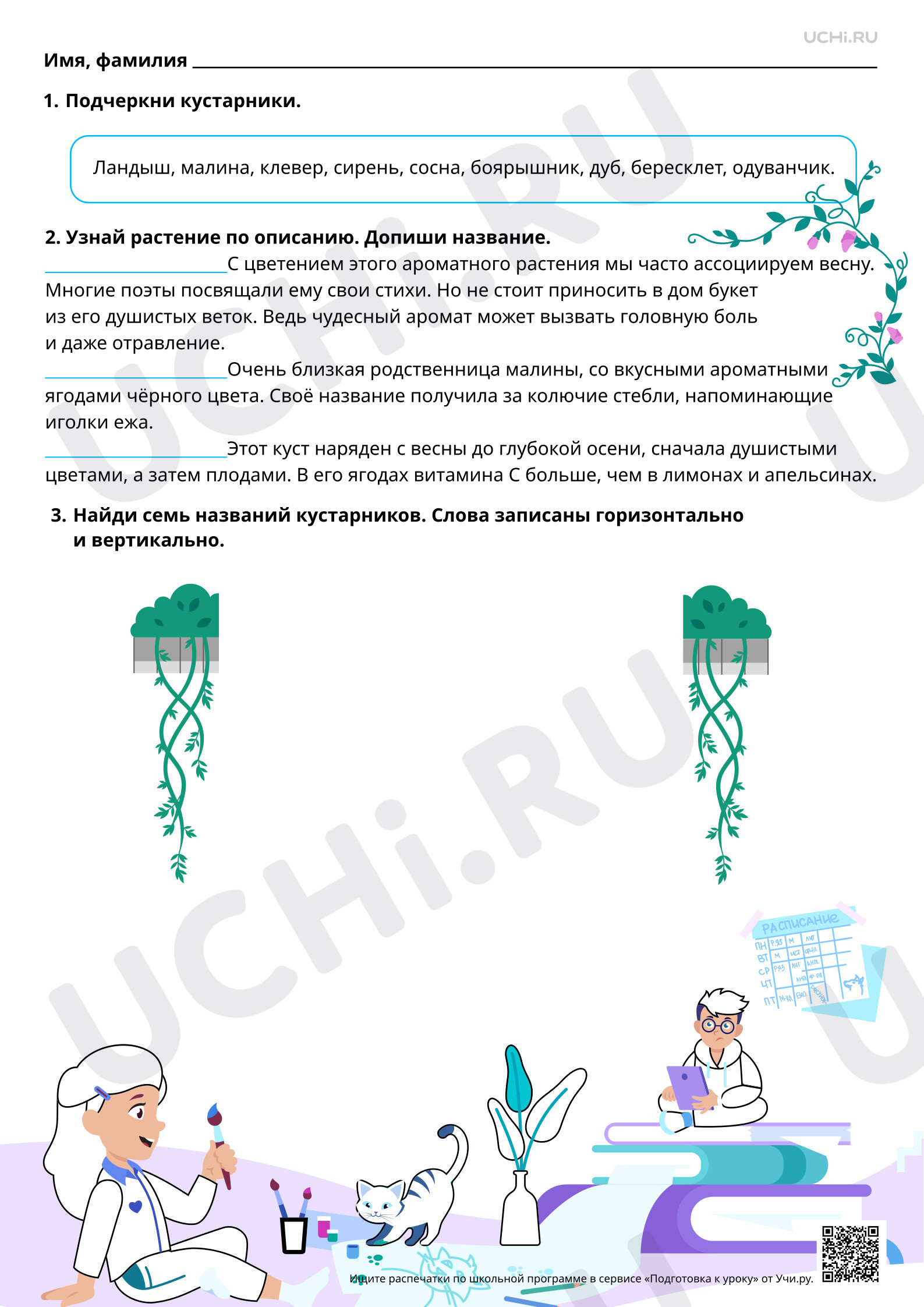 Предпросмотр материала Кустарники нашего края: узнавание, название, краткое описание. Повышенный
