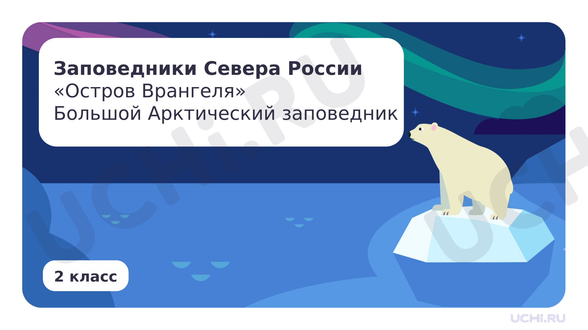 Предпросмотр материала Заповедники Севера России (Остров Врангеля, Большой Арктический заповедник)