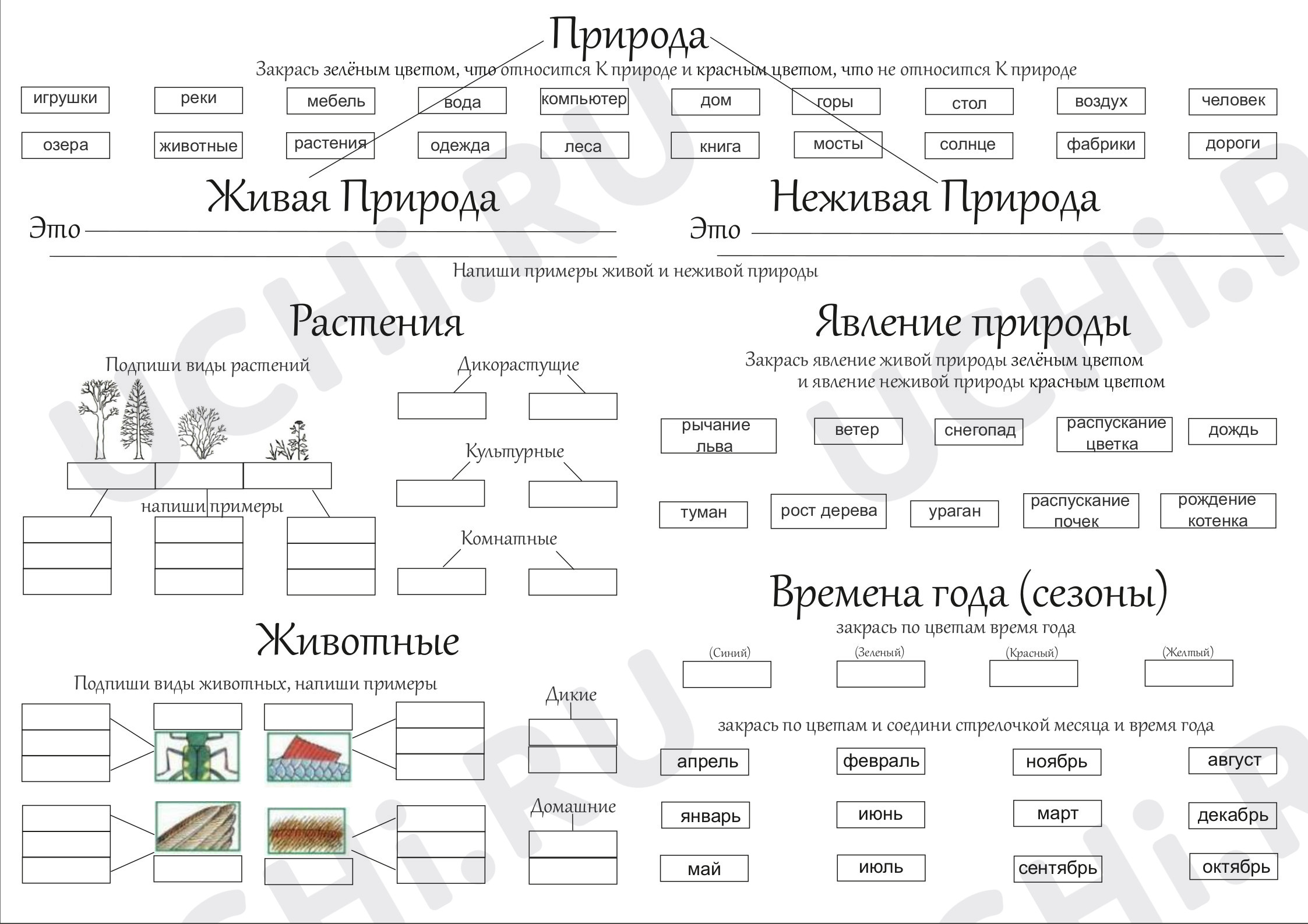 Предпросмотр материала Окружающий мир. Природа. Тест.