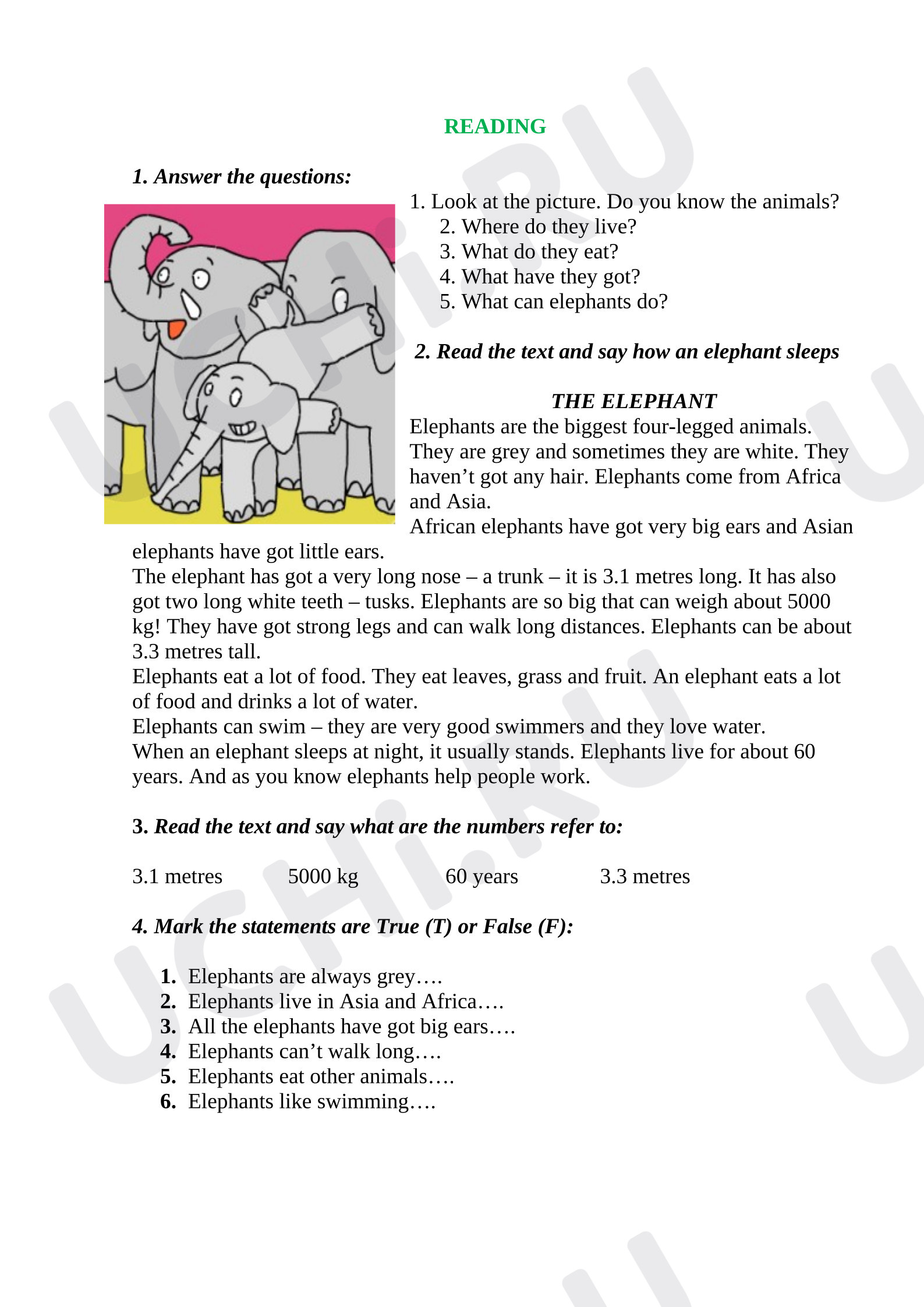 Предпросмотр материала Английский язык. Чтение «Reading about animals»