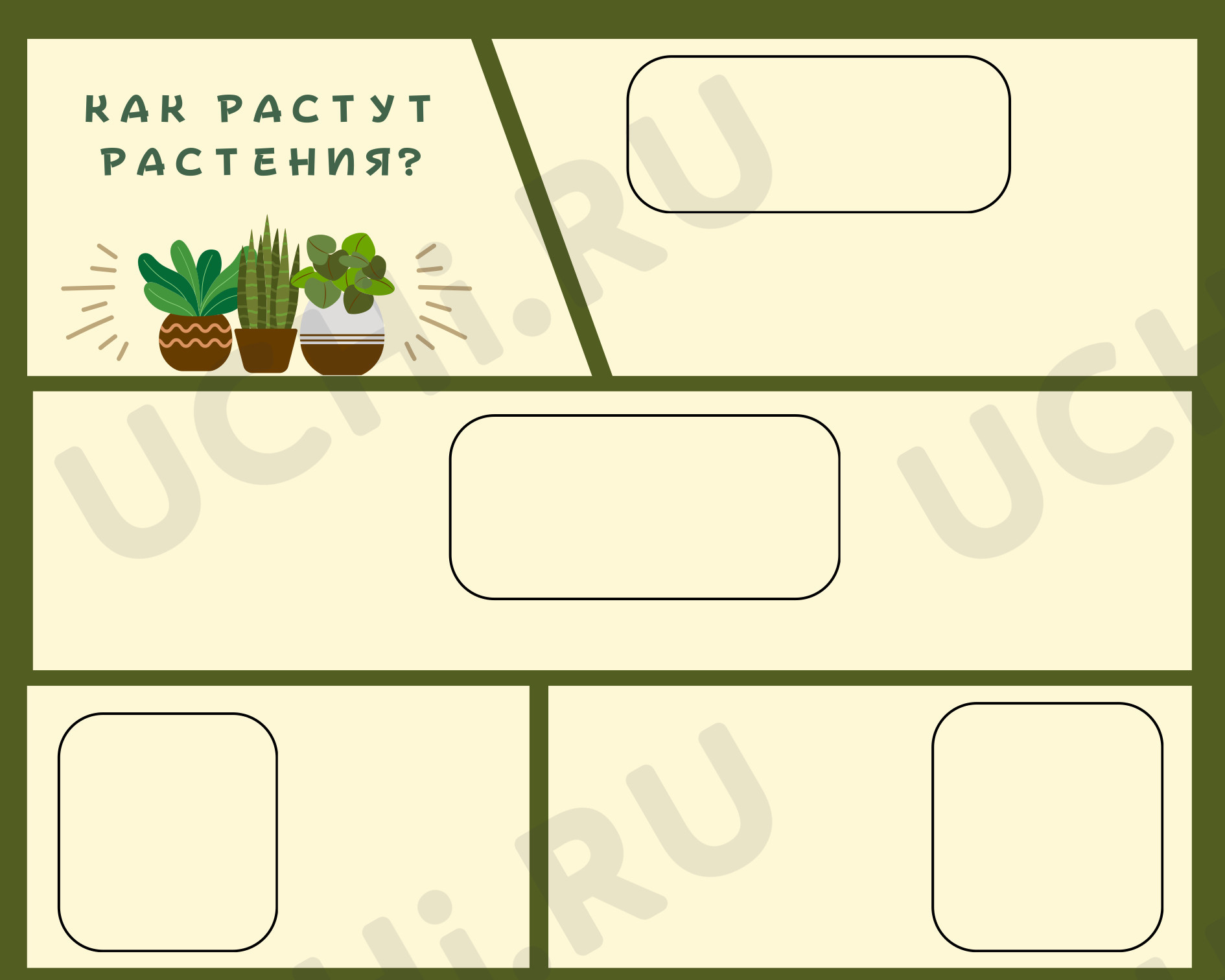 Предпросмотр материала Схема роста растений