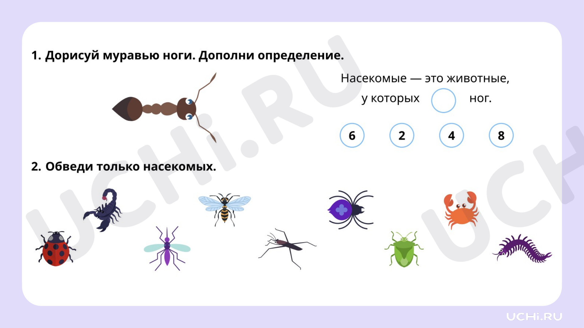 Рабочий лист Мир животных: насекомые (узнавание, называние). Главная  особенность этой группы животных, Рабочий лист, Базовый, Окружающий мир, 1  класс: Мир животных: насекомые (узнавание, называние). Главная особенность  этой группы животных | Учи.ру