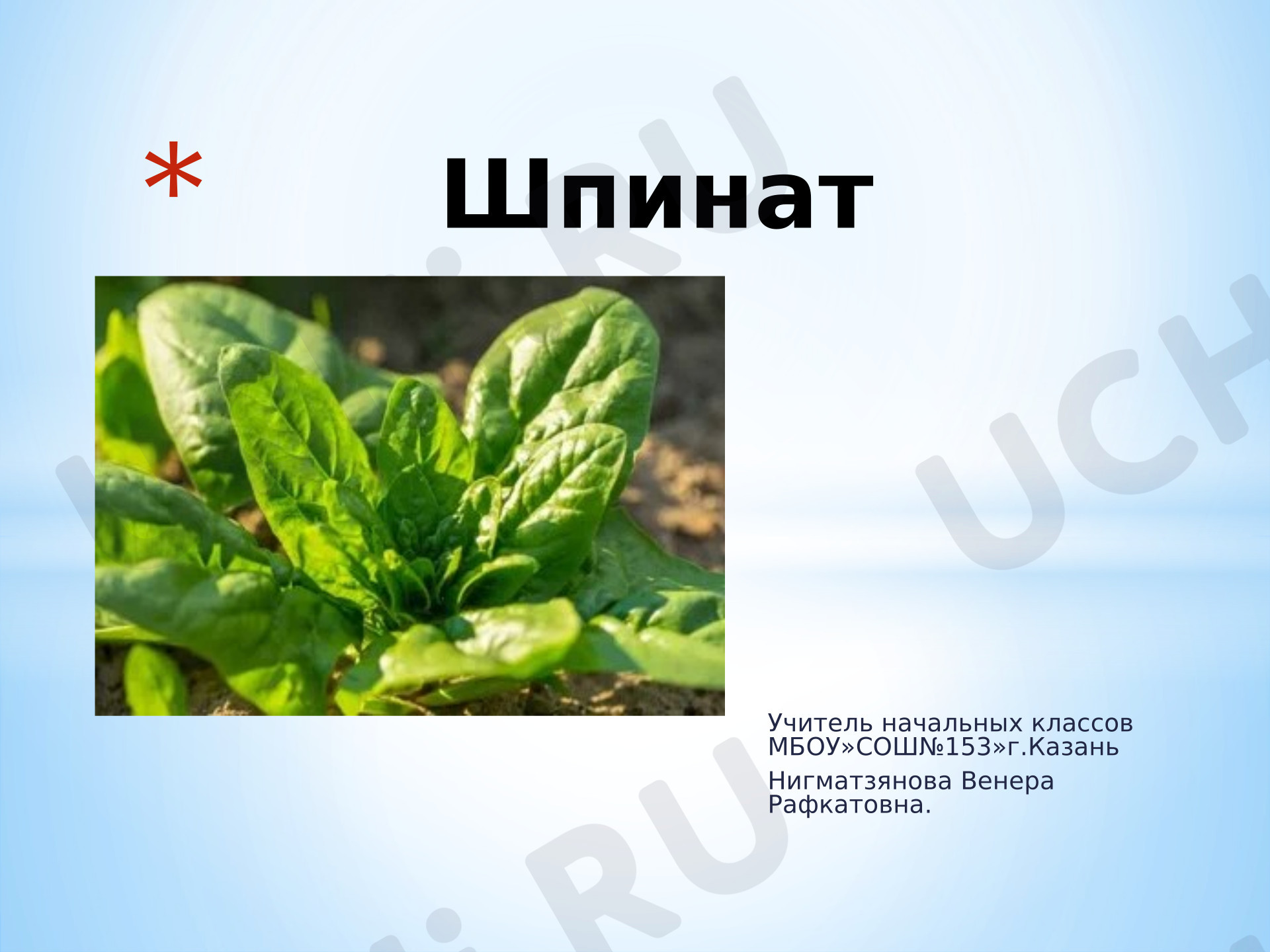 Предпросмотр материала Шпинат- растение переселенц.
