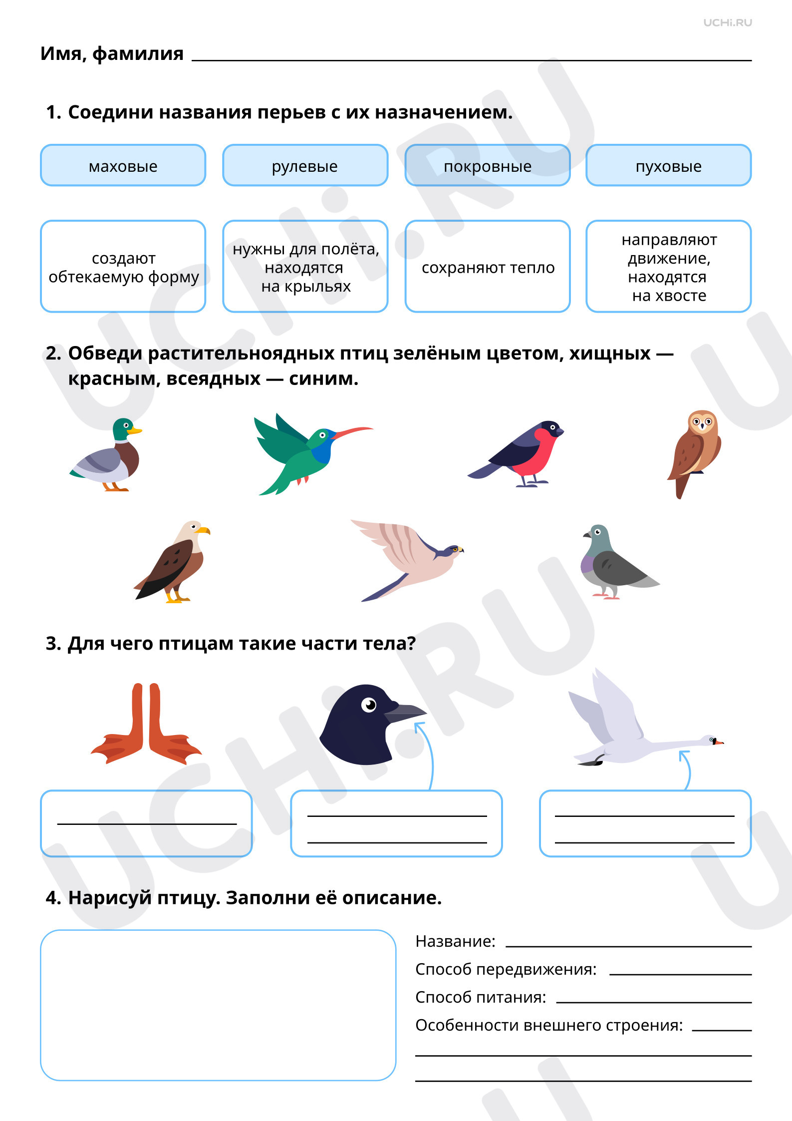 Мир животных: птицы. Особенности внешнего вида, передвижения, питания:  узнавание, называние, описание