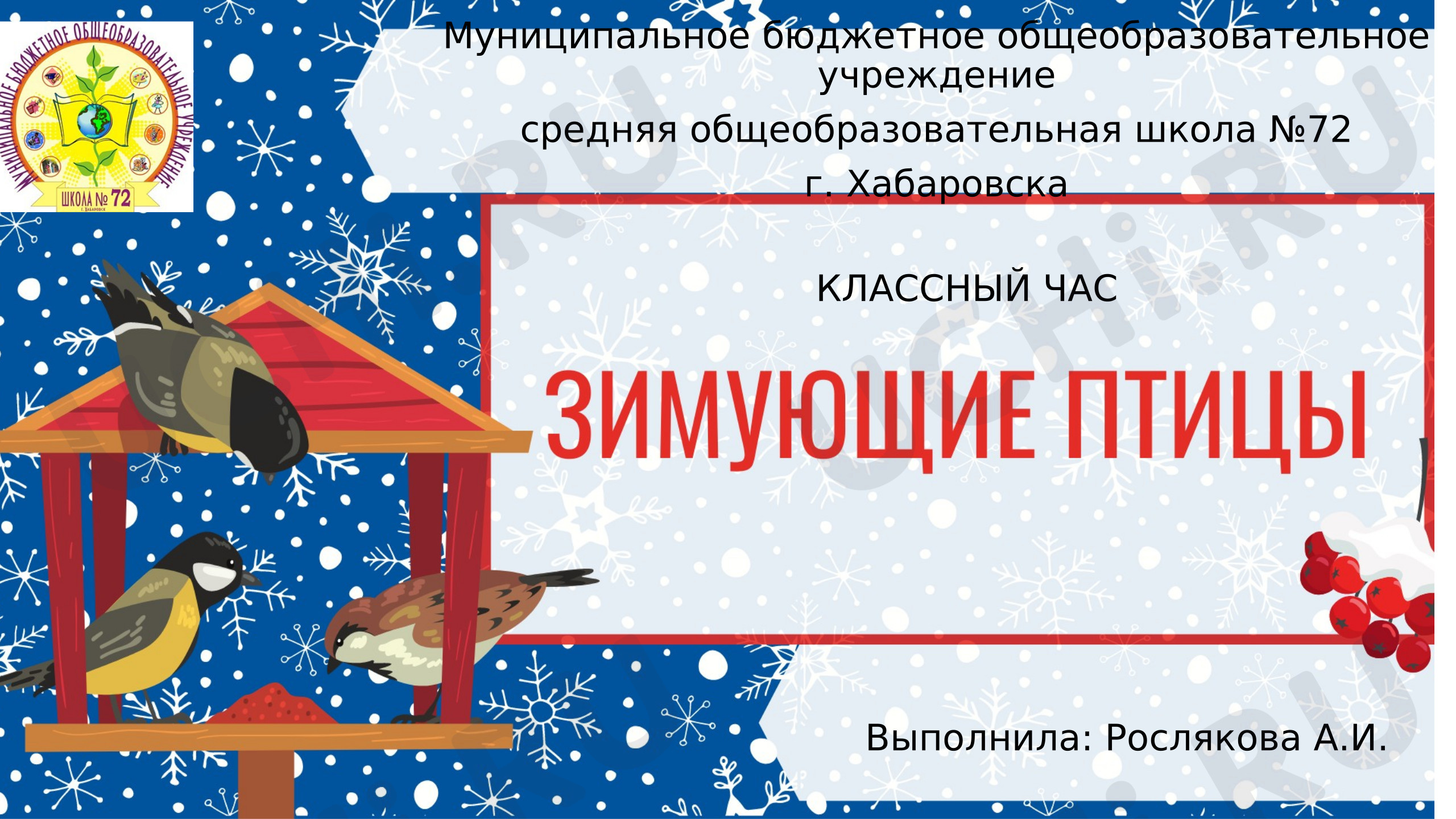 Предпросмотр материала Презентация "Зимующие птицы". Классный час в 1 классе