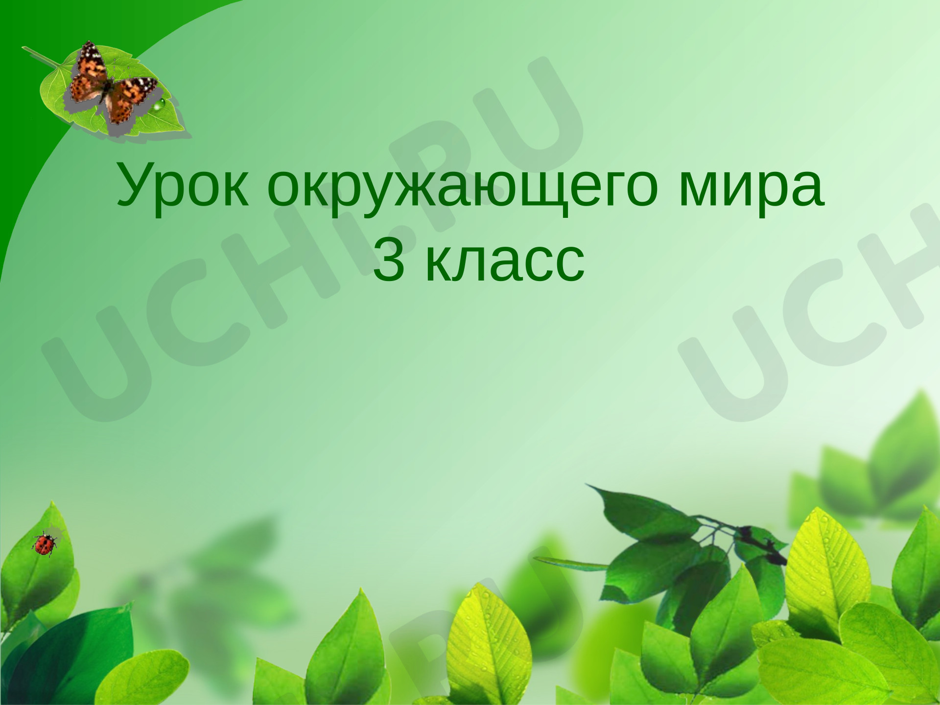 Предпросмотр материала Эта удивительная природа