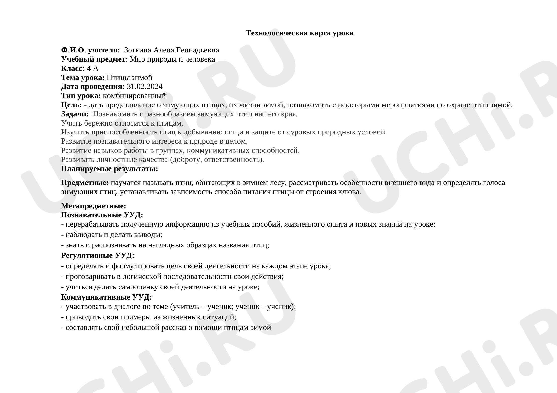 Предпросмотр материала Технологическая карта. Птицы зимой.