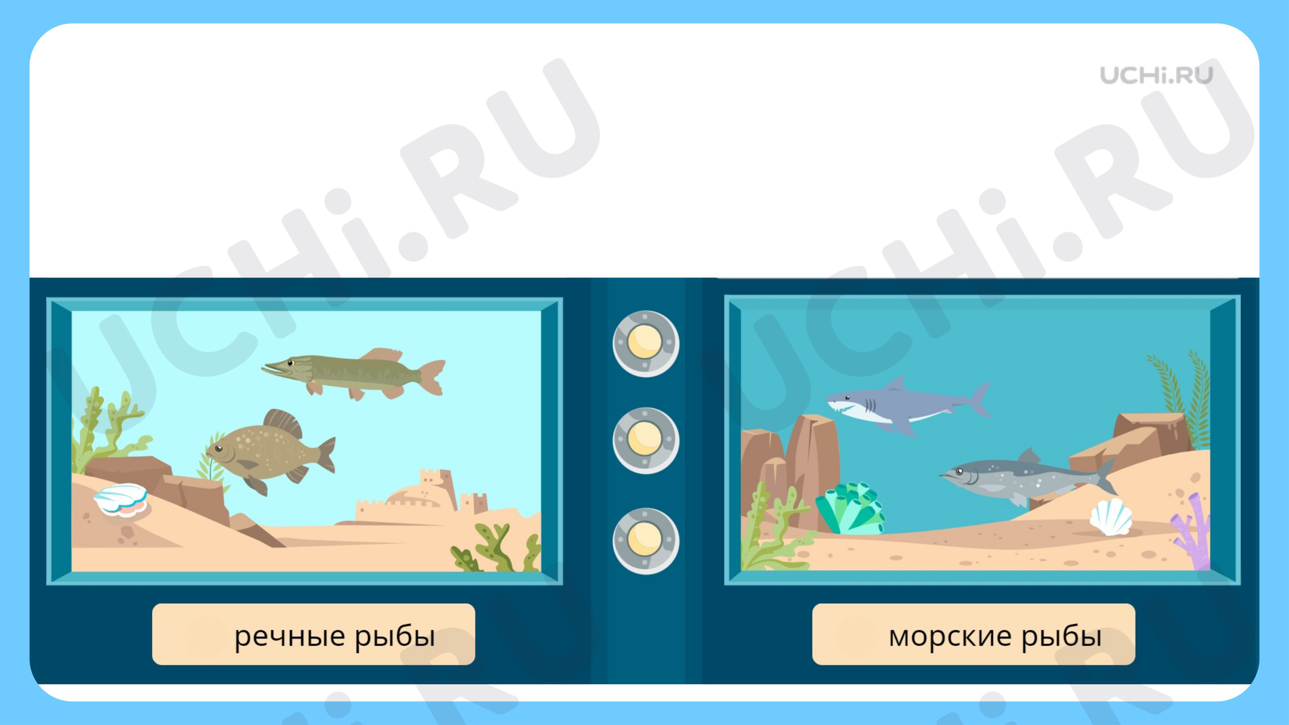 Материалы для урока по теме Кто такие рыбы?,Окружающий мир, 1 класс.