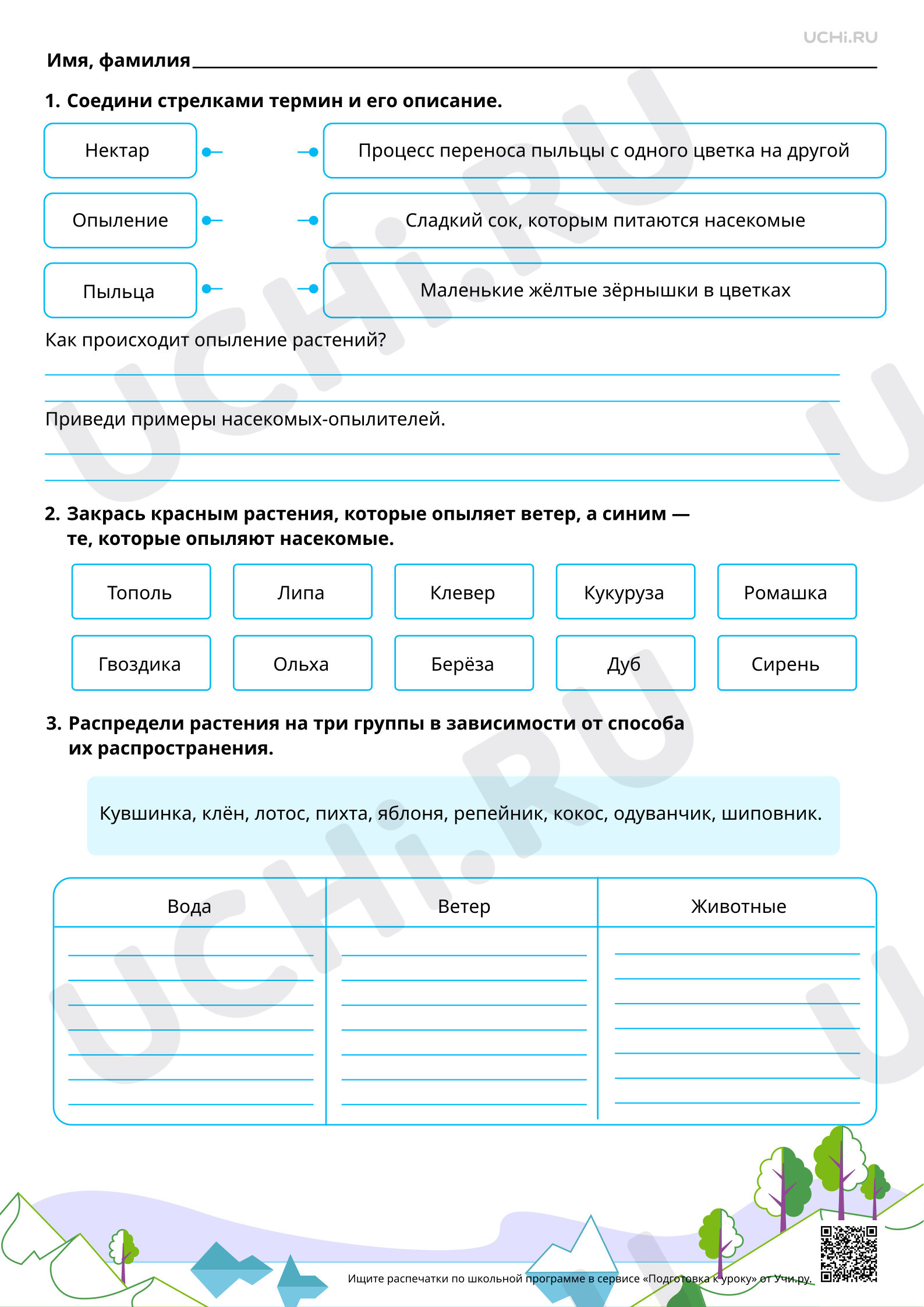 Предпросмотр материала Как растения размножаются? Базовый уровень