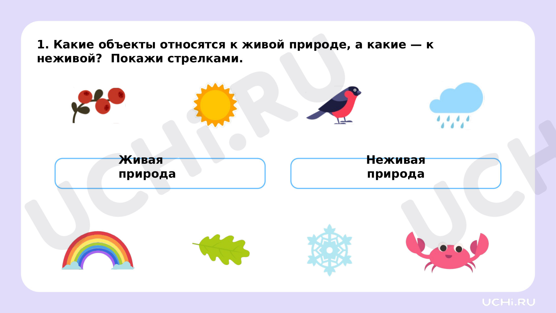 Рабочие листы по теме «Объекты живой природы. Сравнение объектов неживой и живой  природы: выделение различий». Повышенный уровень: Объекты живой природы.  Сравнение объектов неживой и живой природы: выделение различий | Учи.ру