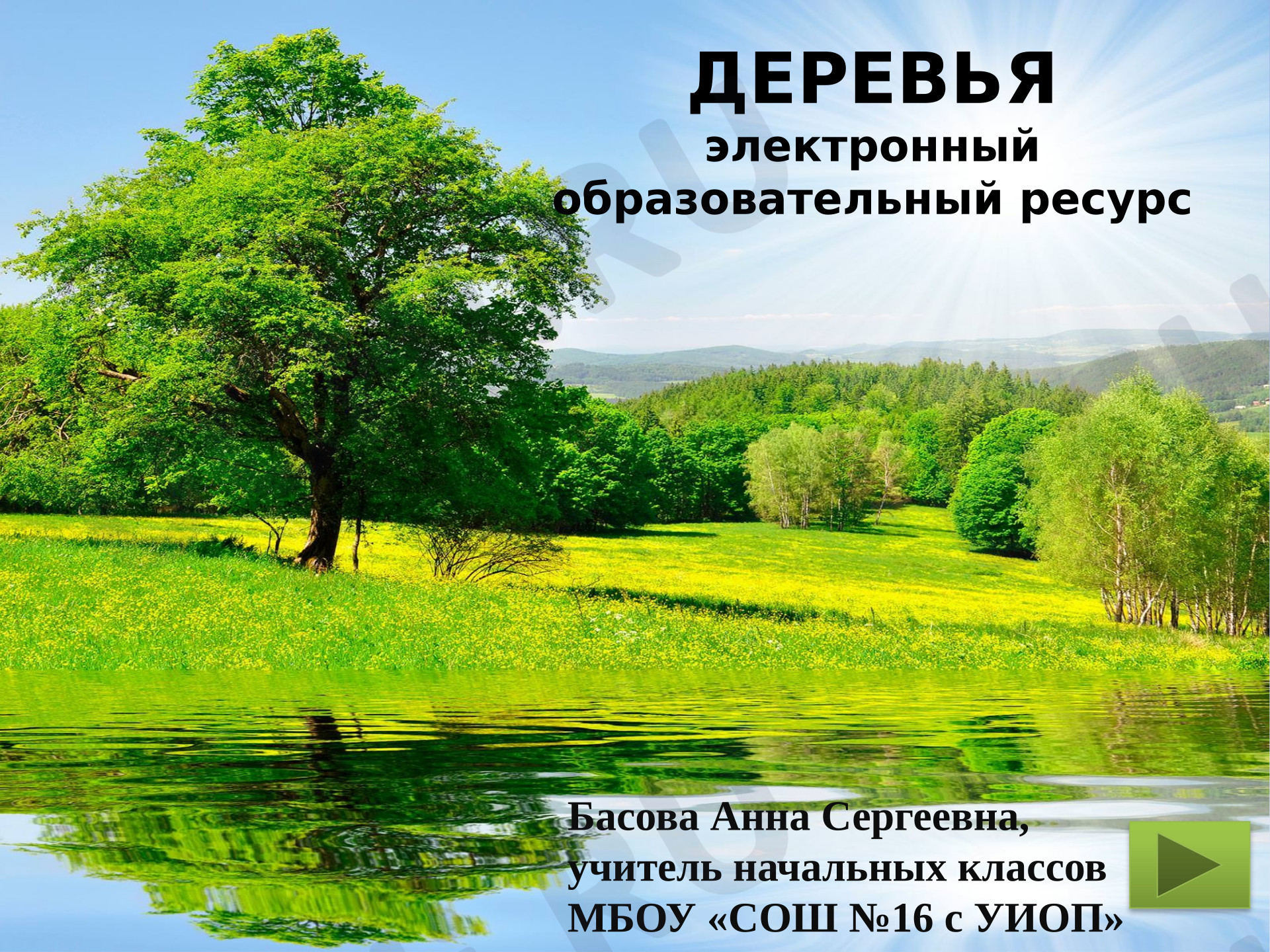 Предпросмотр материала Лиственные и хвойные деревья