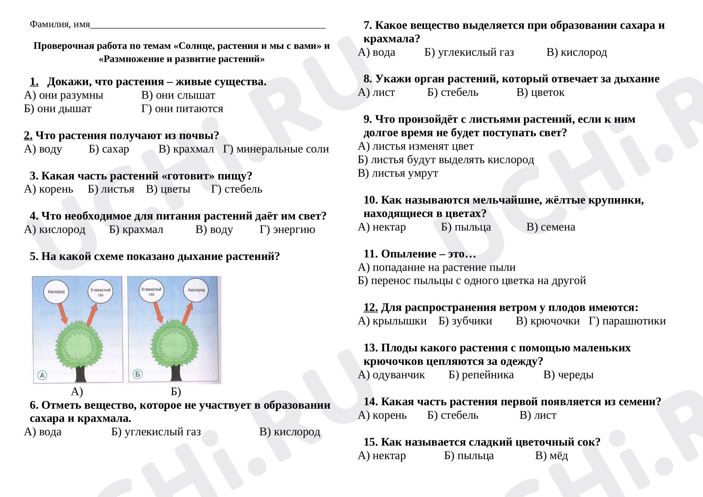 Предпросмотр материала Итоговая работа по окружающему миру по разделу  «Что мы знаем о растениях».