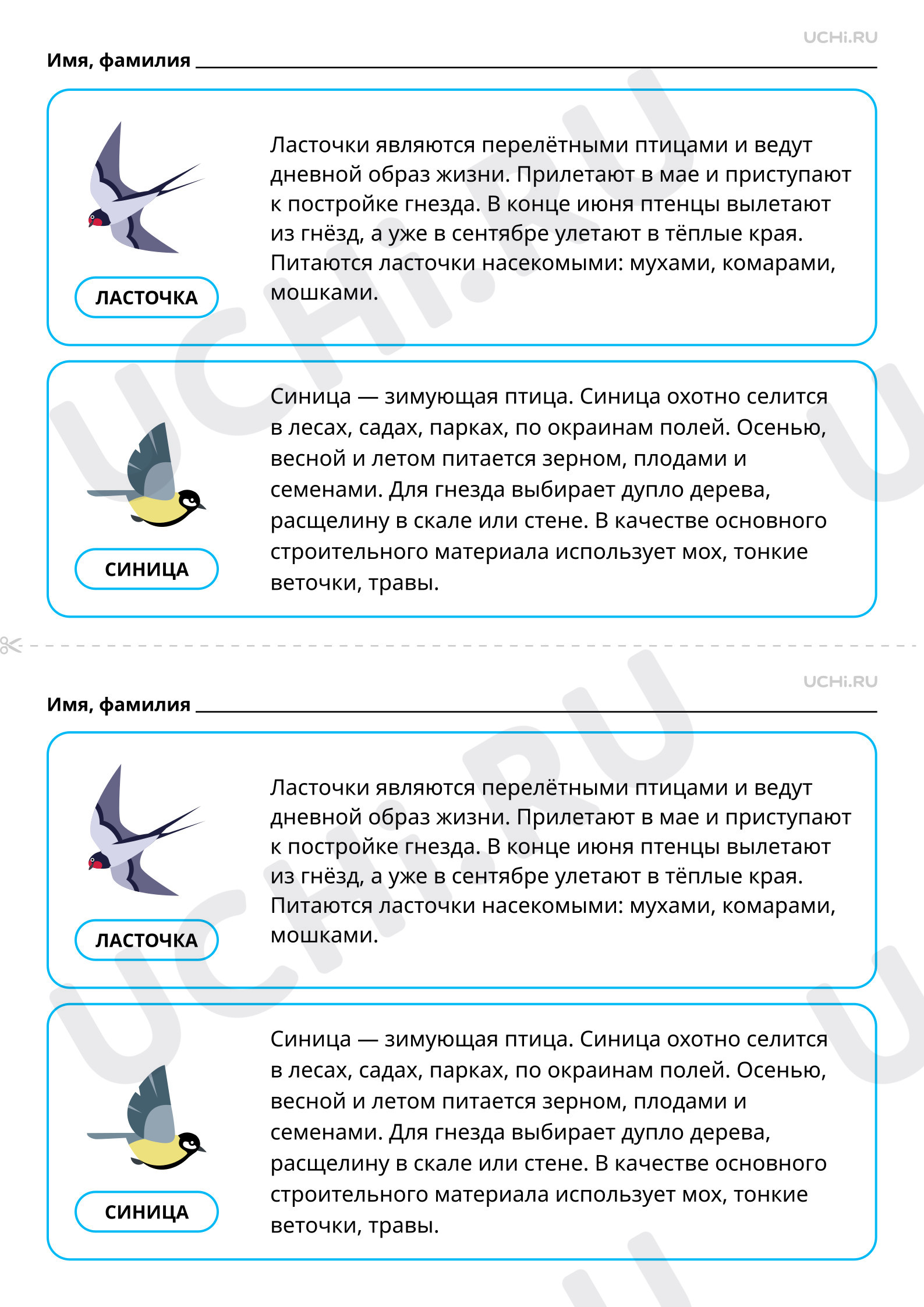 Текст синица тема текста