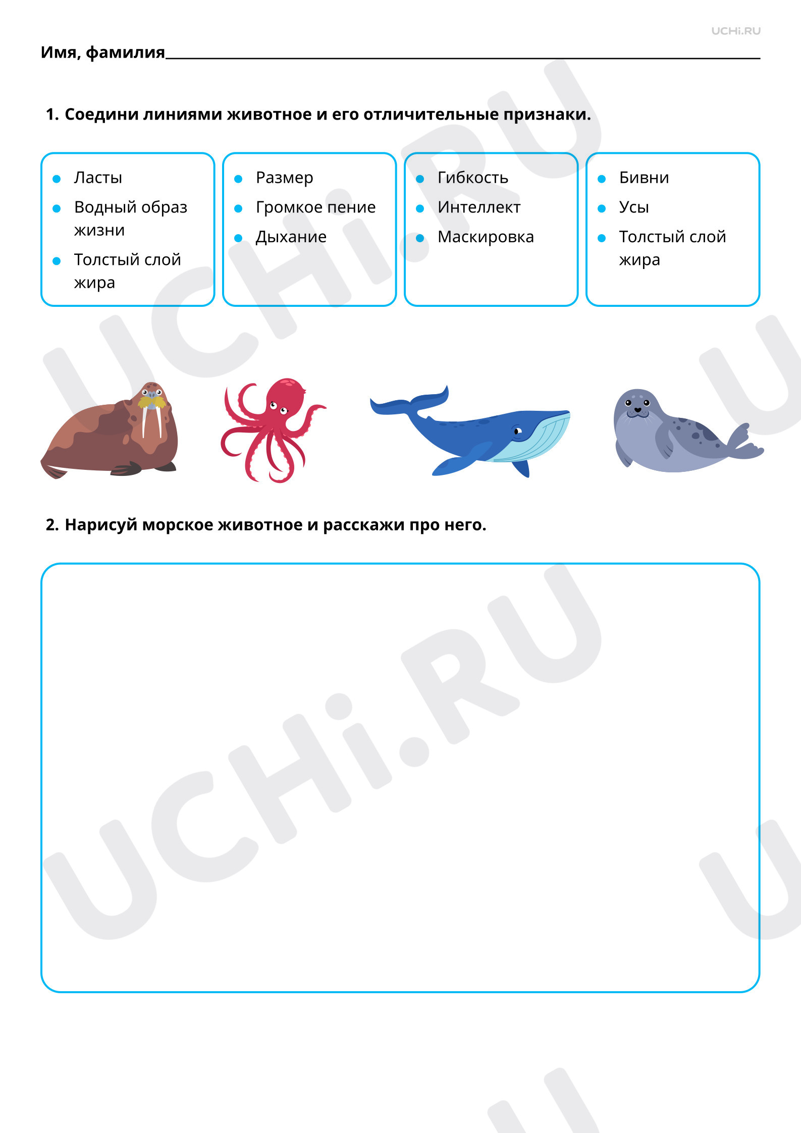 Рабочие листы по теме «Какие звери живут в морях и океанах?». Базовый  уровень: Какие животные живут в морях и океанах? Морские животные:  узнавание, называние, краткое описание | Учи.ру