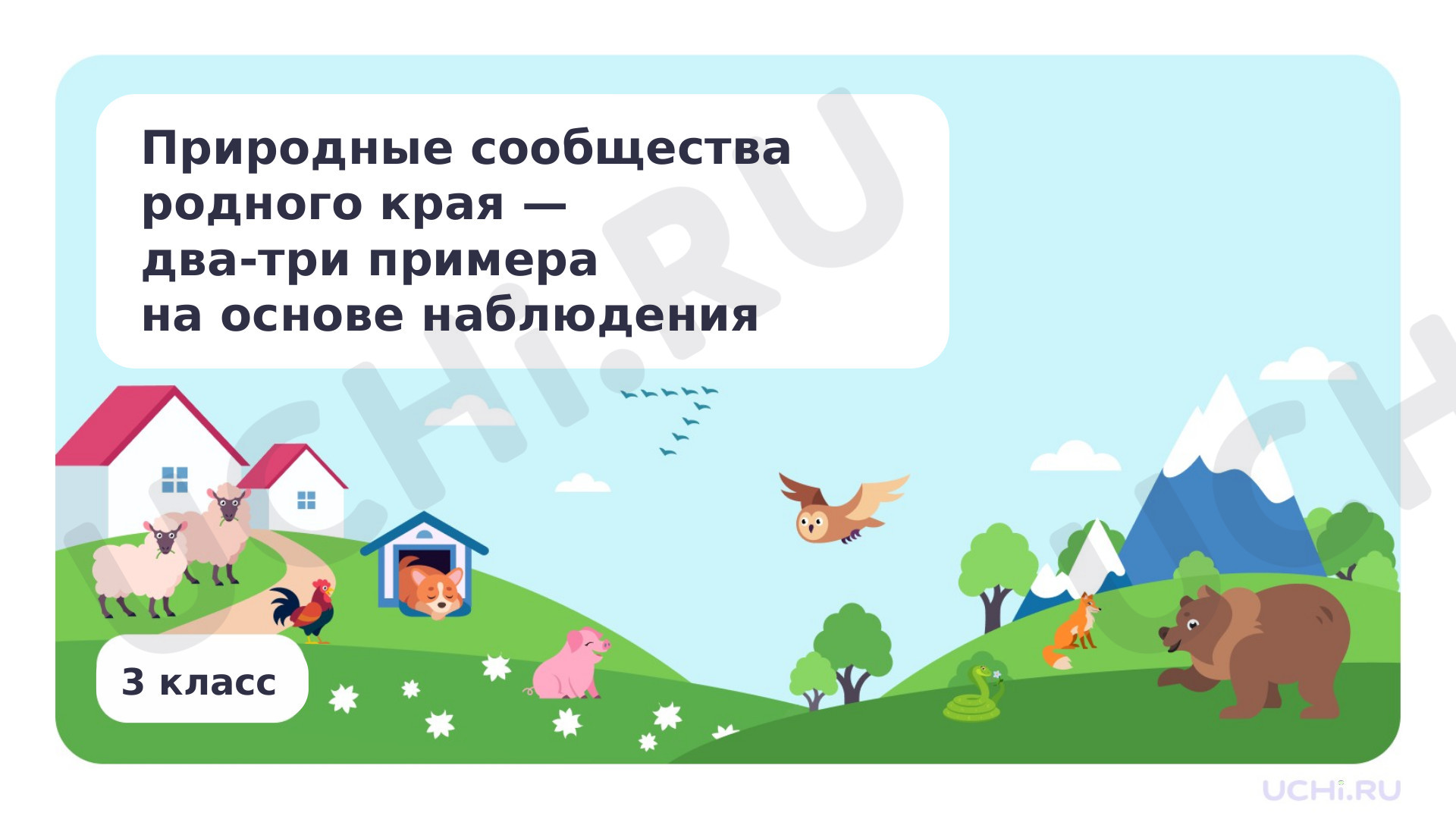 Предпросмотр материала Природные сообщества родного края