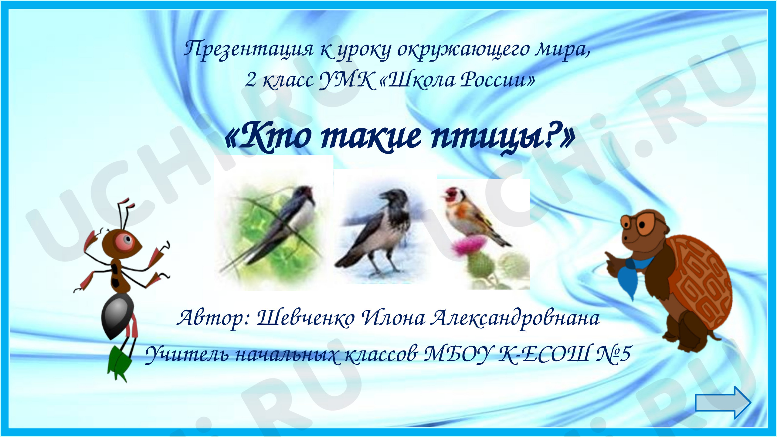 Предпросмотр материала Презентация к уроку окружающего мира. Кто такие птицы?