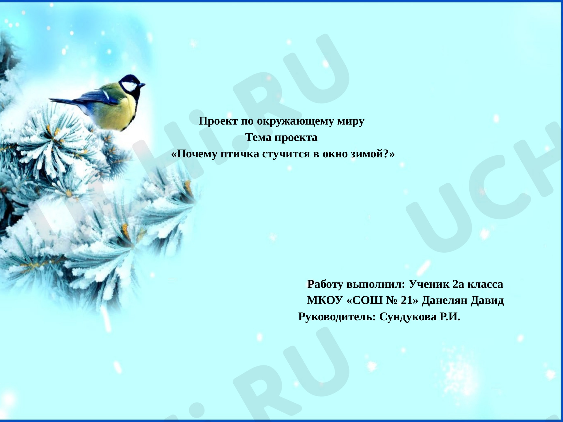 Предпросмотр материала Почему птичка стучится в окно?