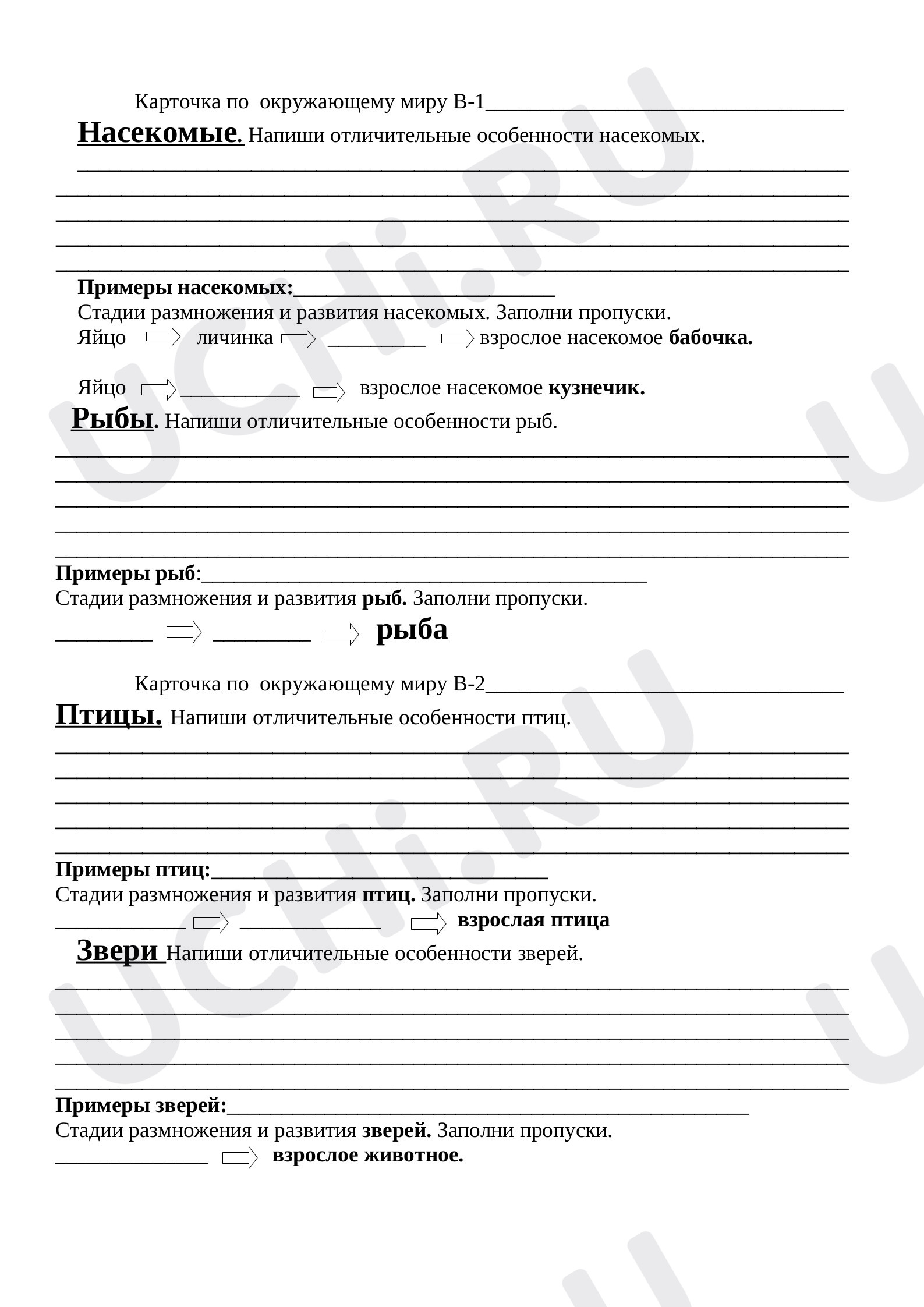 Предпросмотр материала Проверочная работа к уроку окружающего мира по теме: Отличительные особенности, размножение животных