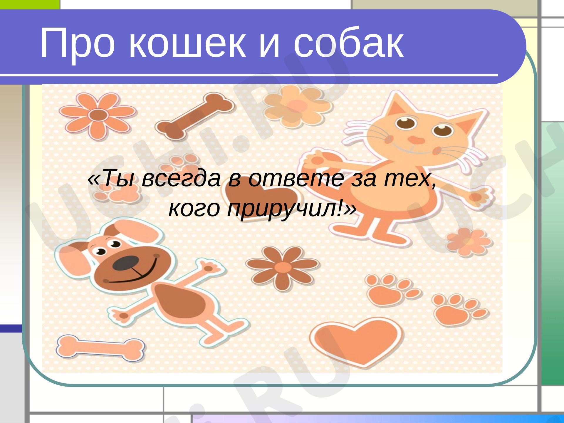 Предпросмотр материала Про кошек и собак