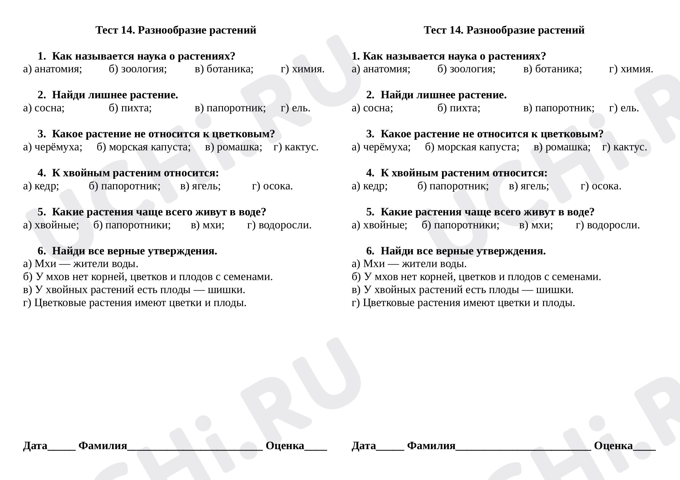 Предпросмотр материала Тест по окружающему миру на тему «Разнообразие растений».