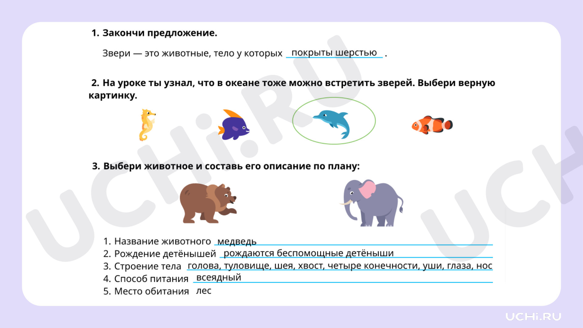 Рабочие листы по теме «Мир животных: звери (узнавание, называние,  сравнение, краткое описание)». Повышенный уровень: Мир животных: звери  (узнавание, называние, сравнение, краткое описание) | Учи.ру