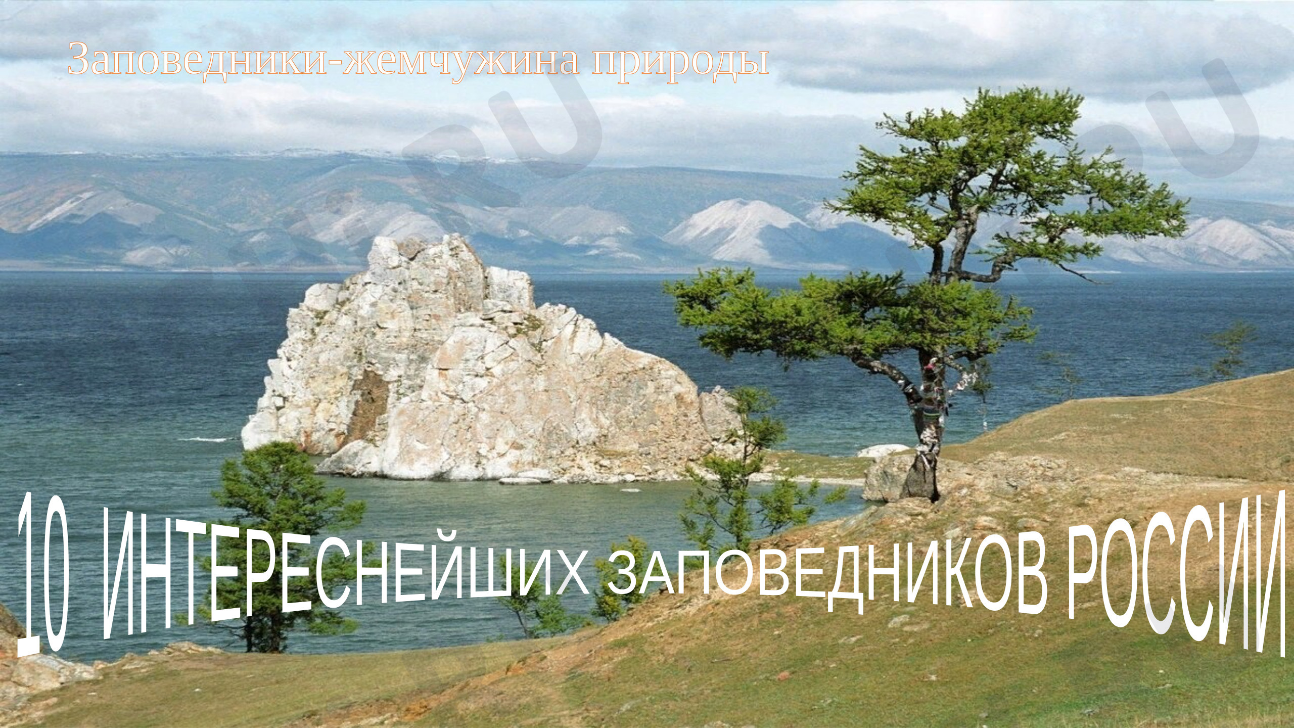 Предпросмотр материала Заповедники