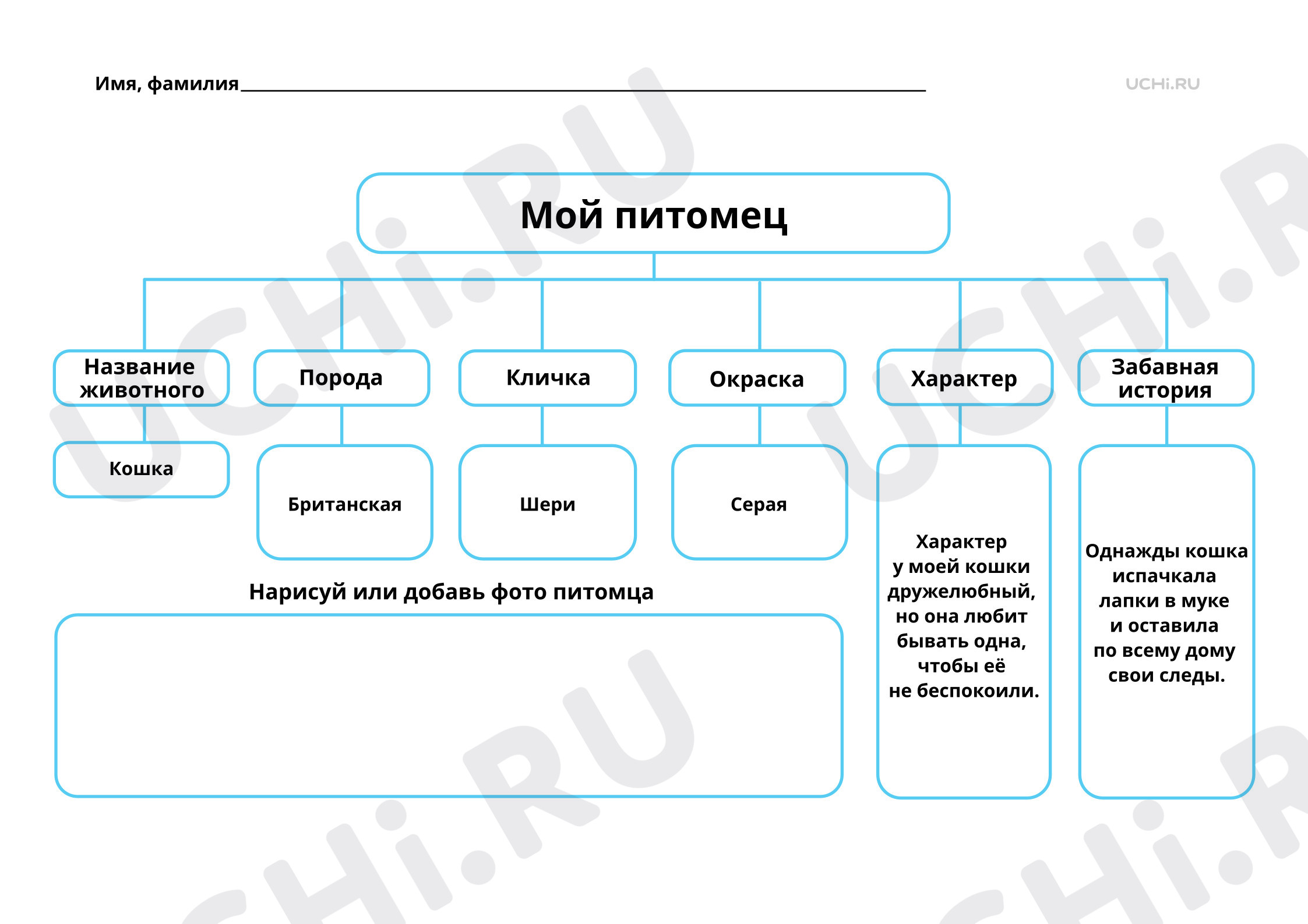 Предпросмотр материала Мир животных. Почему мы любим кошек и собак? Ответы к рабочим листам