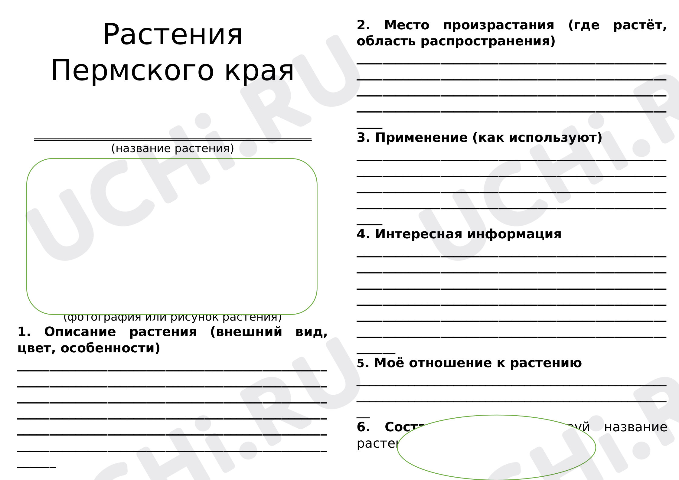 Предпросмотр материала Растения Пермского края