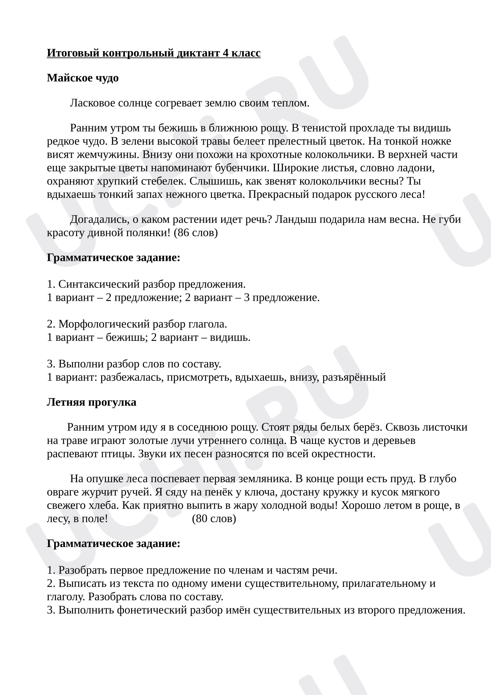 Предпросмотр материала Итоговый диктант с грамматическими заданиями