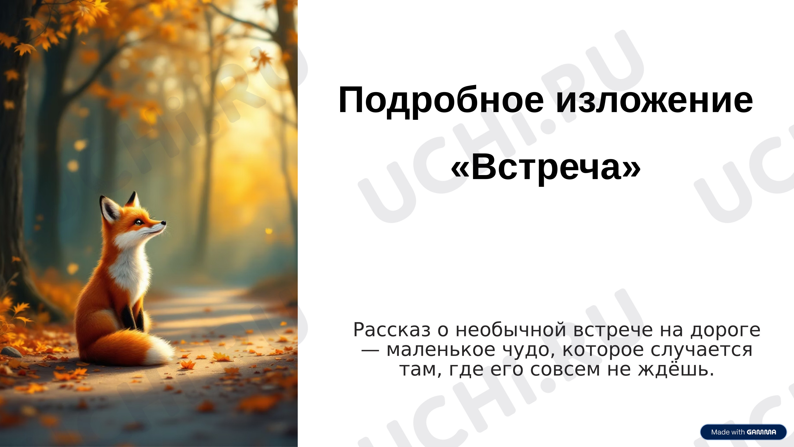 Предпросмотр материала Презентация к уроку русского языка. Работа по развитию речи. Подробное изложение «Встреча».