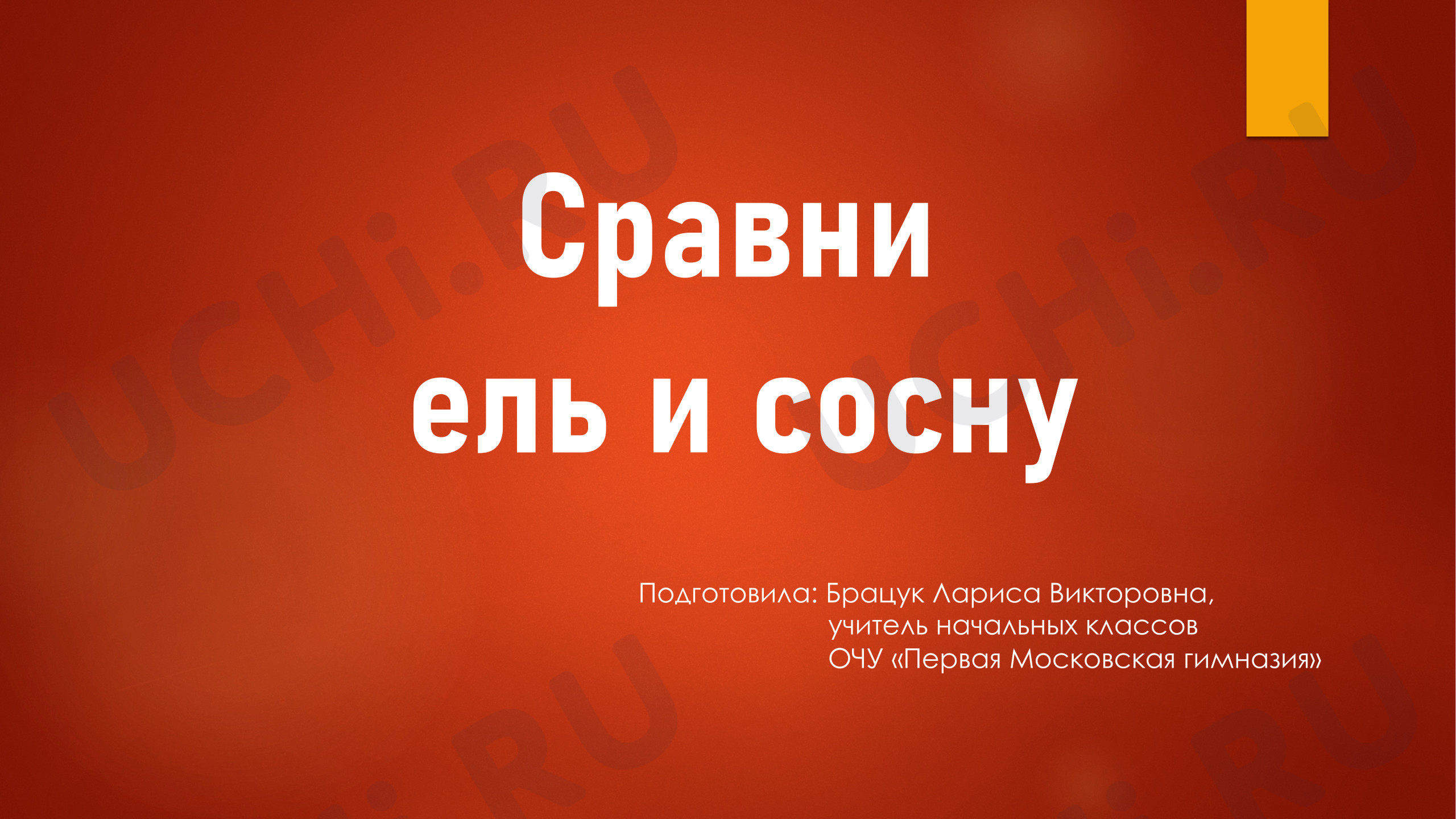 Предпросмотр материала Презентация к уроку окружающего мира. Сравни ель и сосну