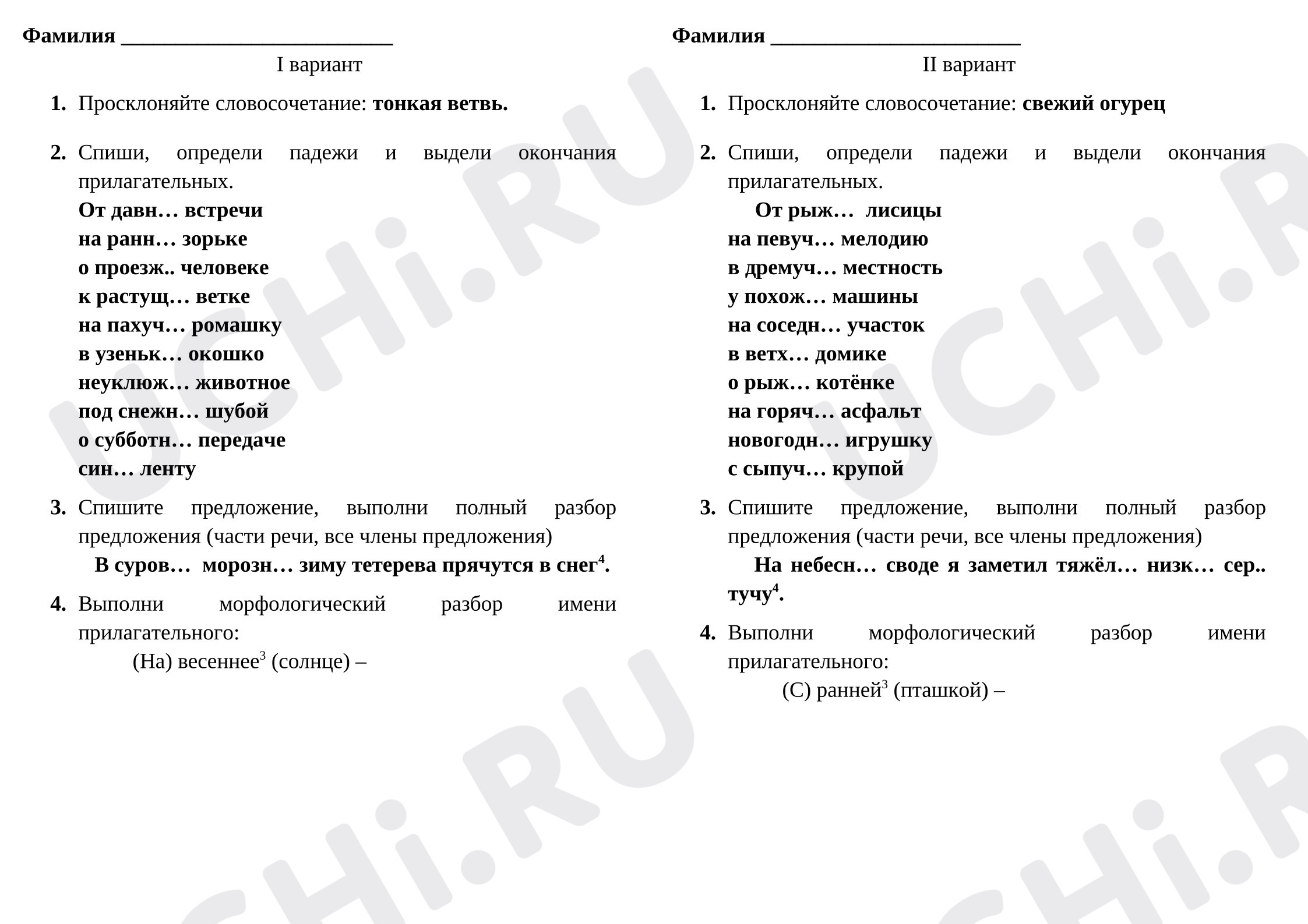 Предпросмотр материала Падежные окончания прилагательных
