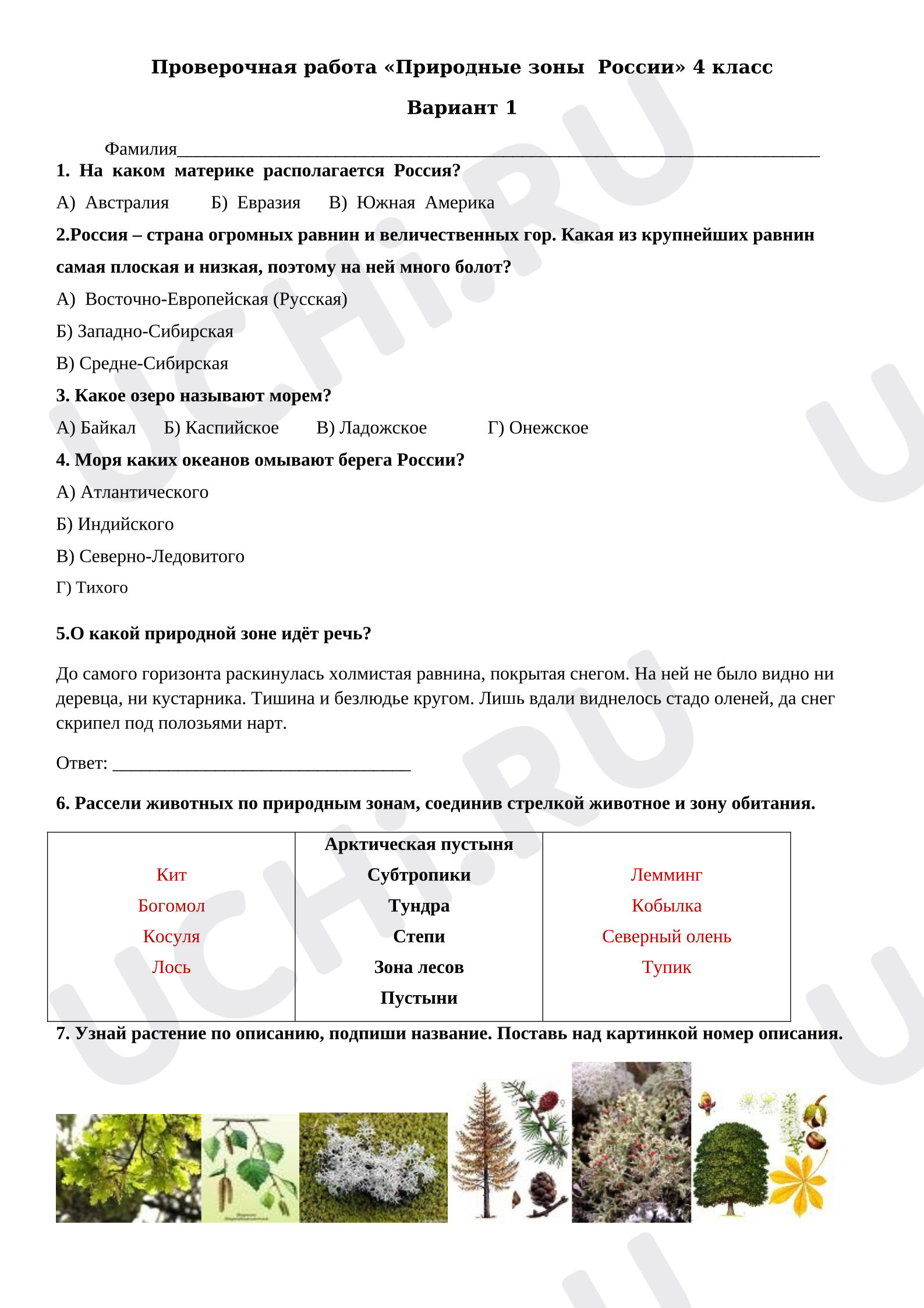 Предпросмотр материала Проверочная работа к уроку окружающего мира. Природа России.