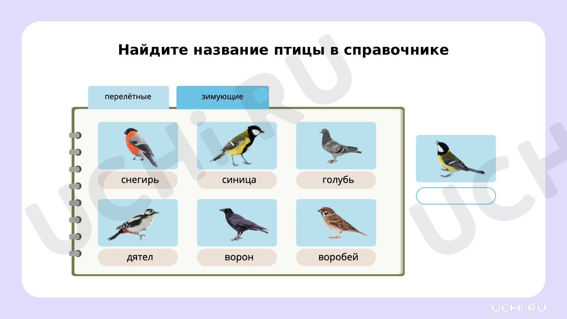 Рабочие листы по теме «Мир животных. Перелётные и зимующие птицы». Базовый  уровень: Мир животных. Перелётные и зимующие птицы | Учи.ру