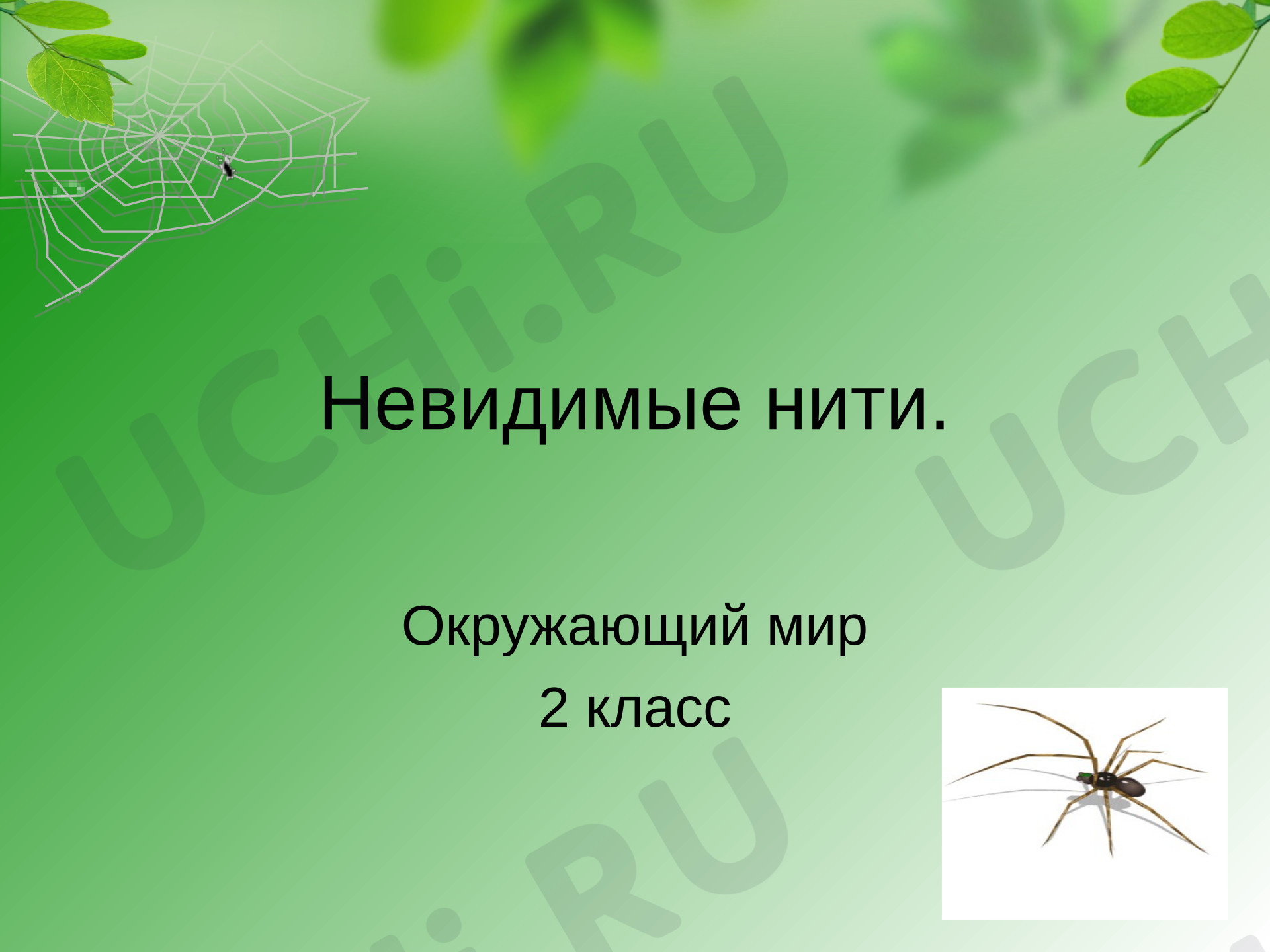 Предпросмотр материала Презентация к уроку окружающего мира. Зависимость жизни растений от состояния неживой природы. Жизнь растений весной и летом. Невидимые нити. Впереди лето