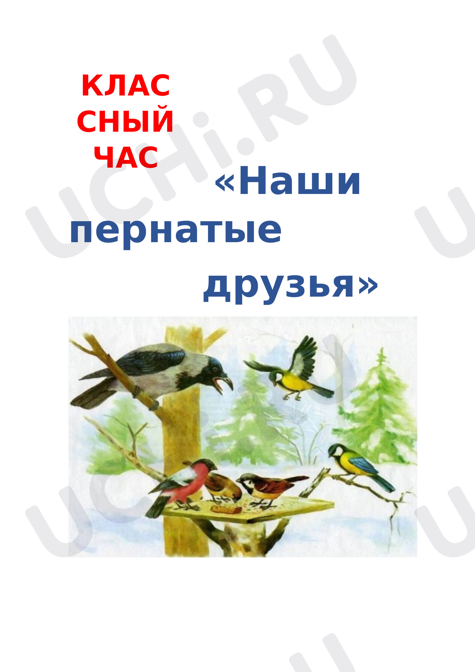 Предпросмотр материала Классный час пернатые друзья.
