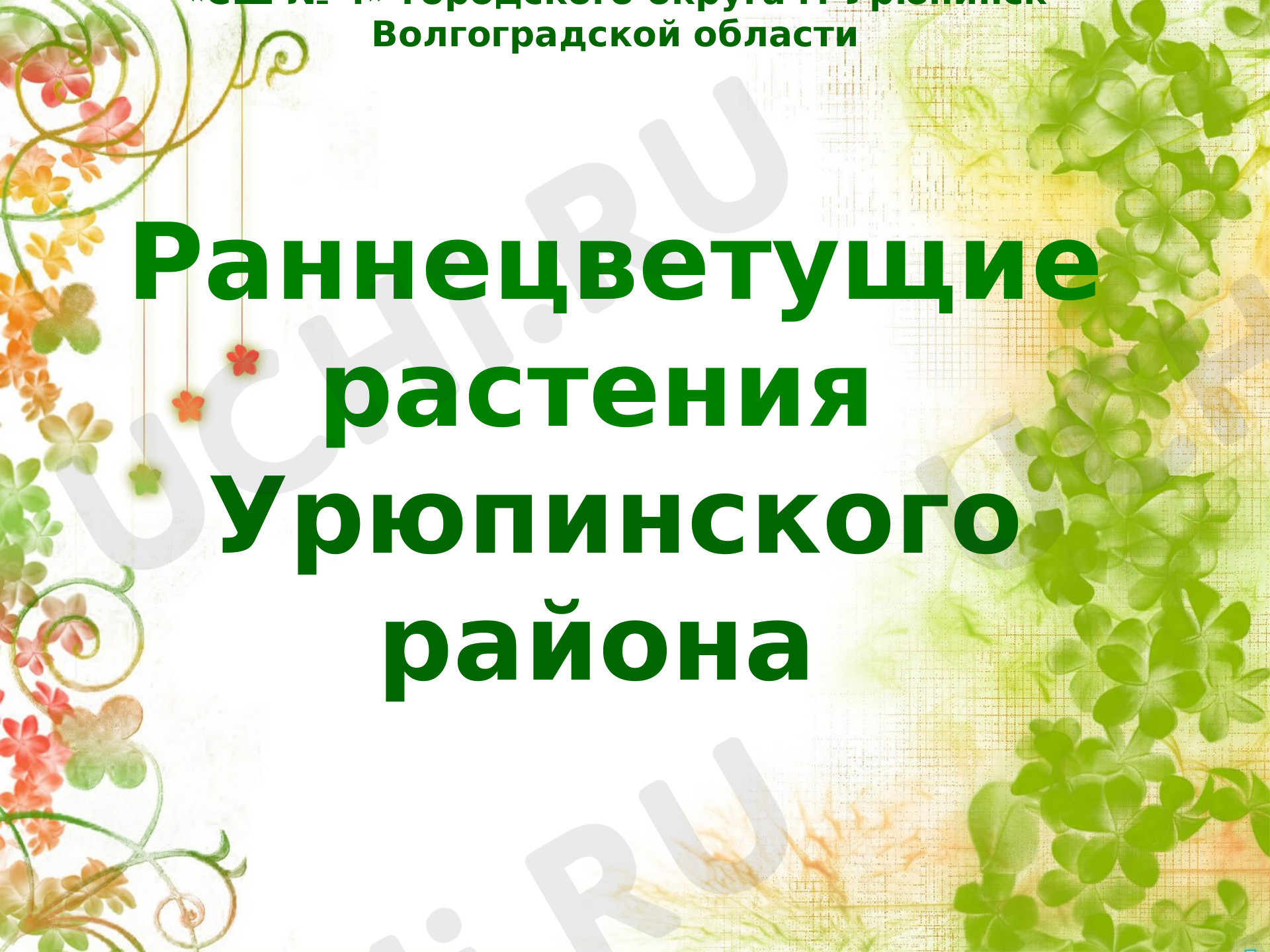 Предпросмотр материала Раннецветущие растения Урюпинского района