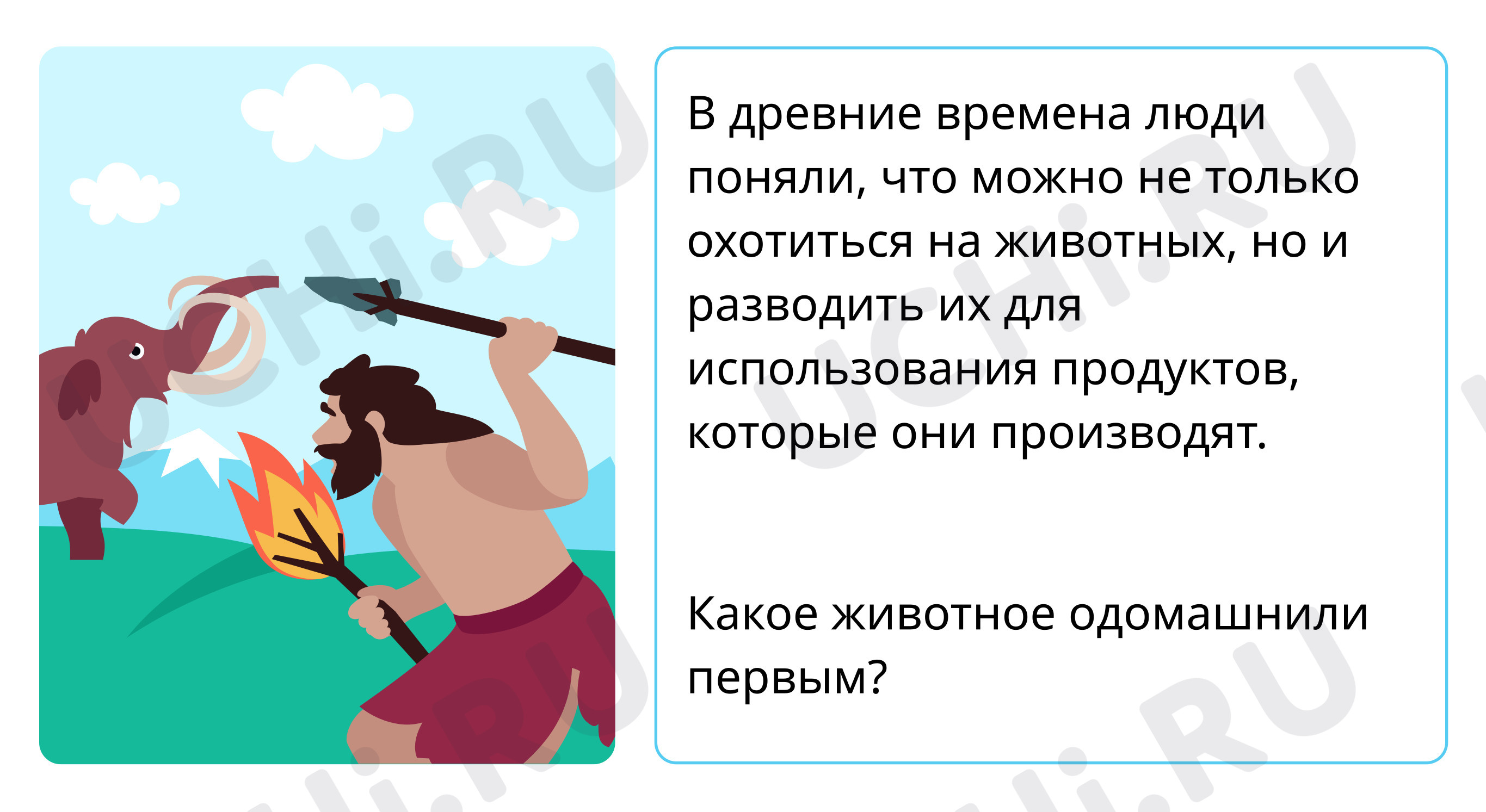 Экономика, окружающий мир 3 класс | Подготовка к уроку от Учи.ру