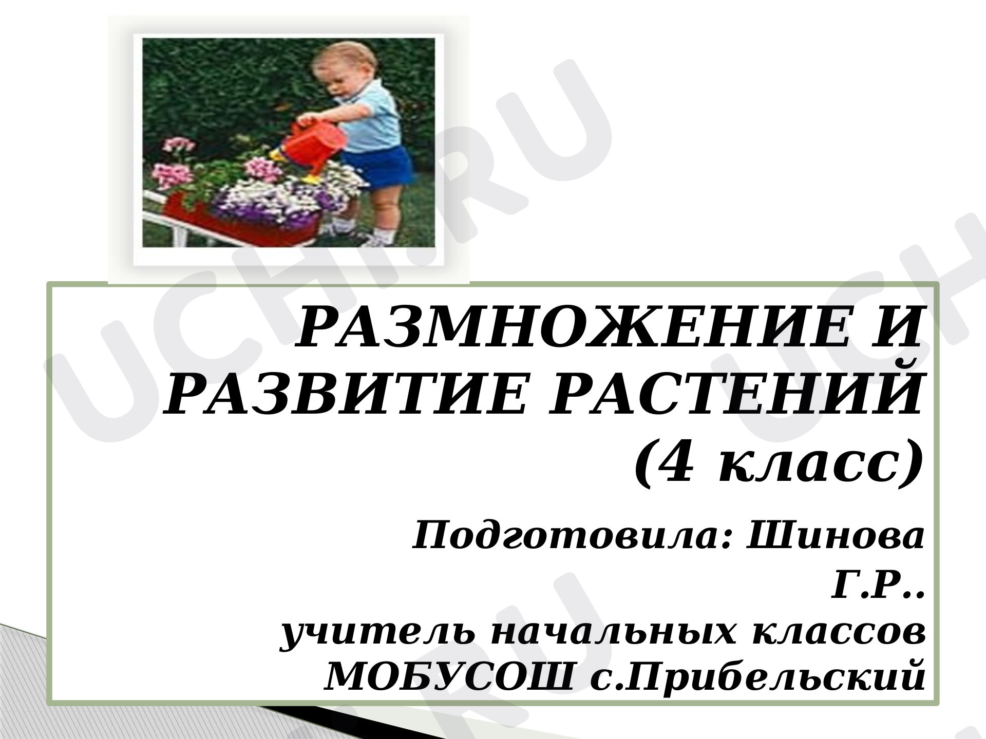 Предпросмотр материала Размножение и развитие растений, охрана растений