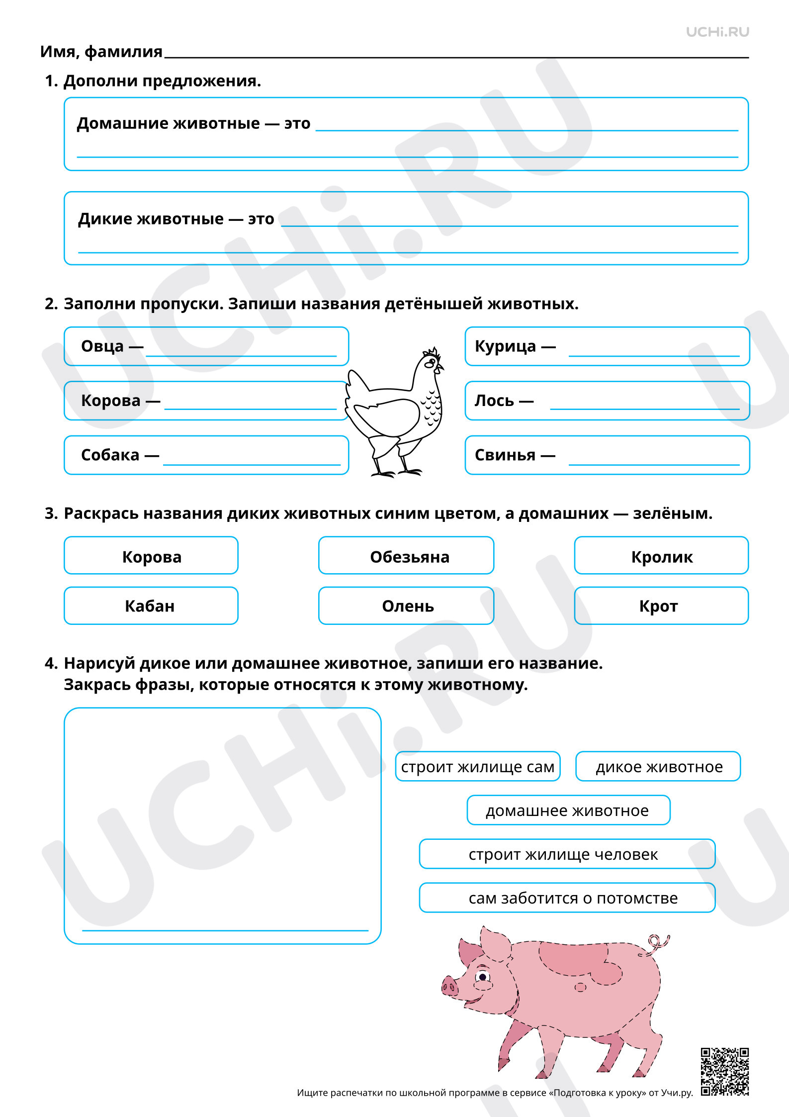 Предпросмотр материала Многообразие животных. Дикие и домашние животные. Базовый уровень