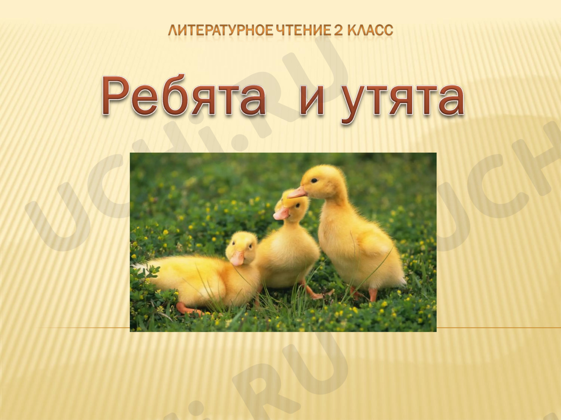 Предпросмотр материала М.М. Пришвин «Ребята и утята»
