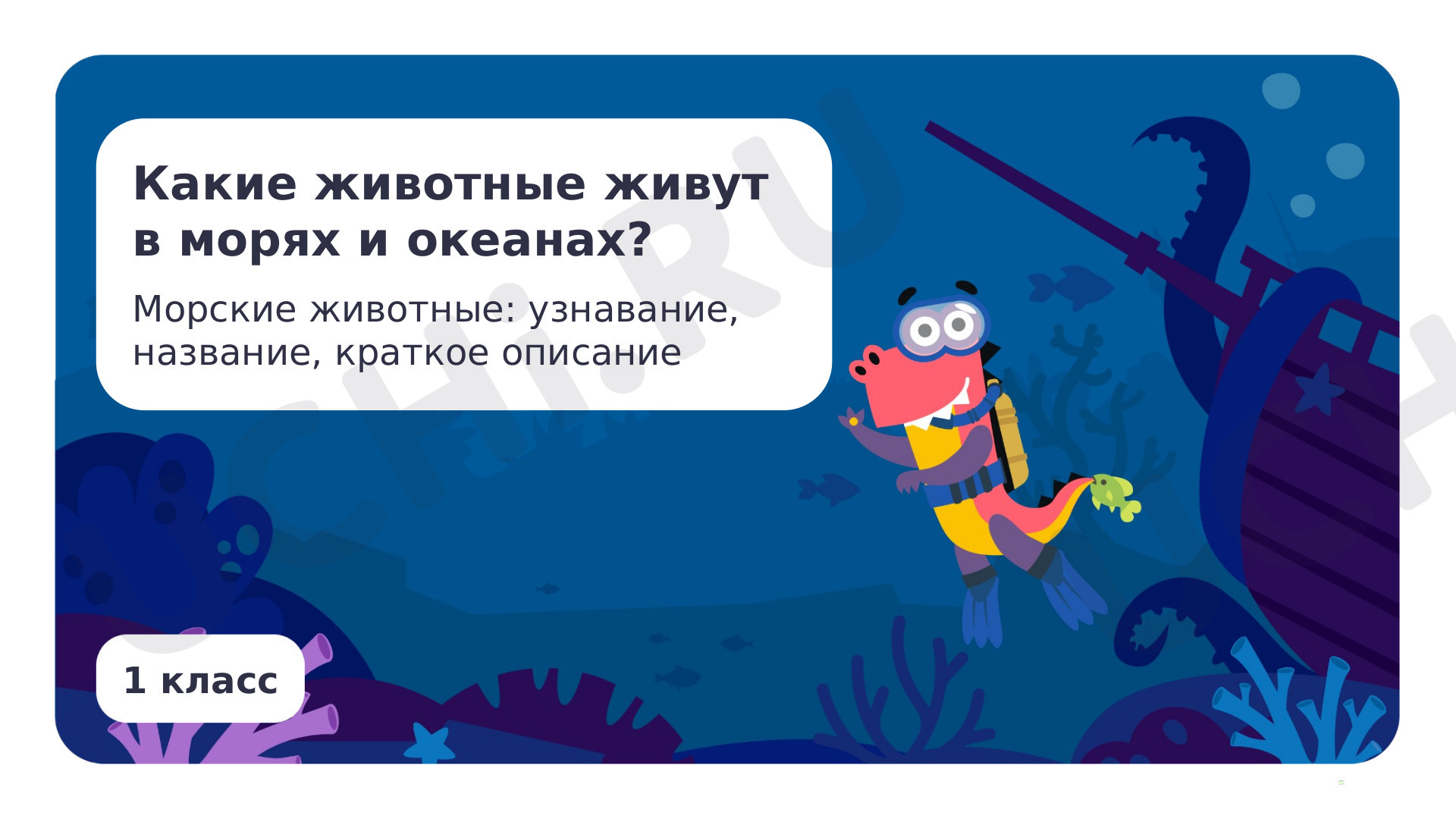 Предпросмотр материала Какие животные живут в морях и океанах?