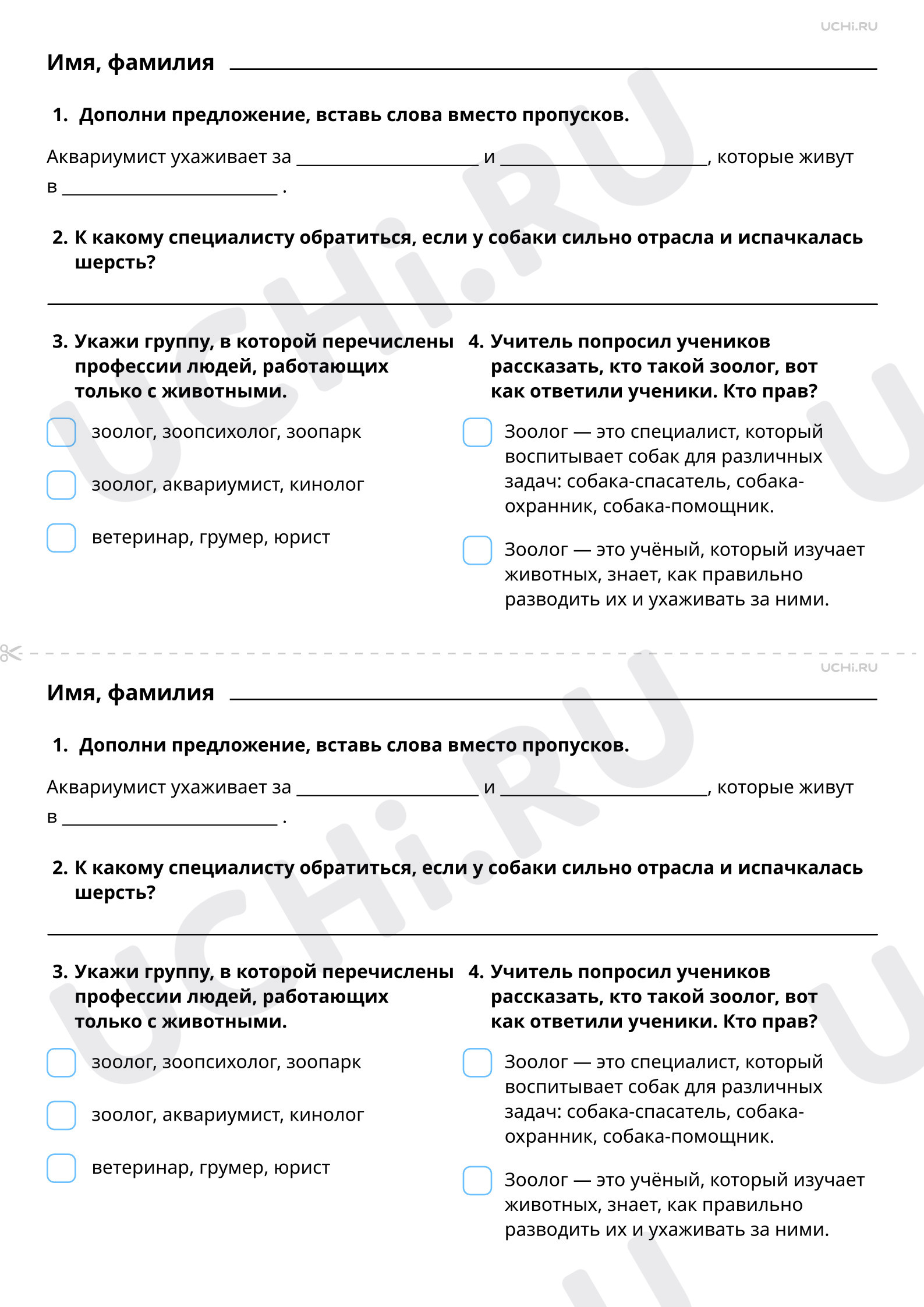 Рабочие листы по теме «Кто заботится о домашних животных? Профессии людей,  которые заботятся о животных». Повышенный уровень: Кто заботится о домашних  животных. Профессии людей, которые заботятся о животных. Мои домашние  питомцы |