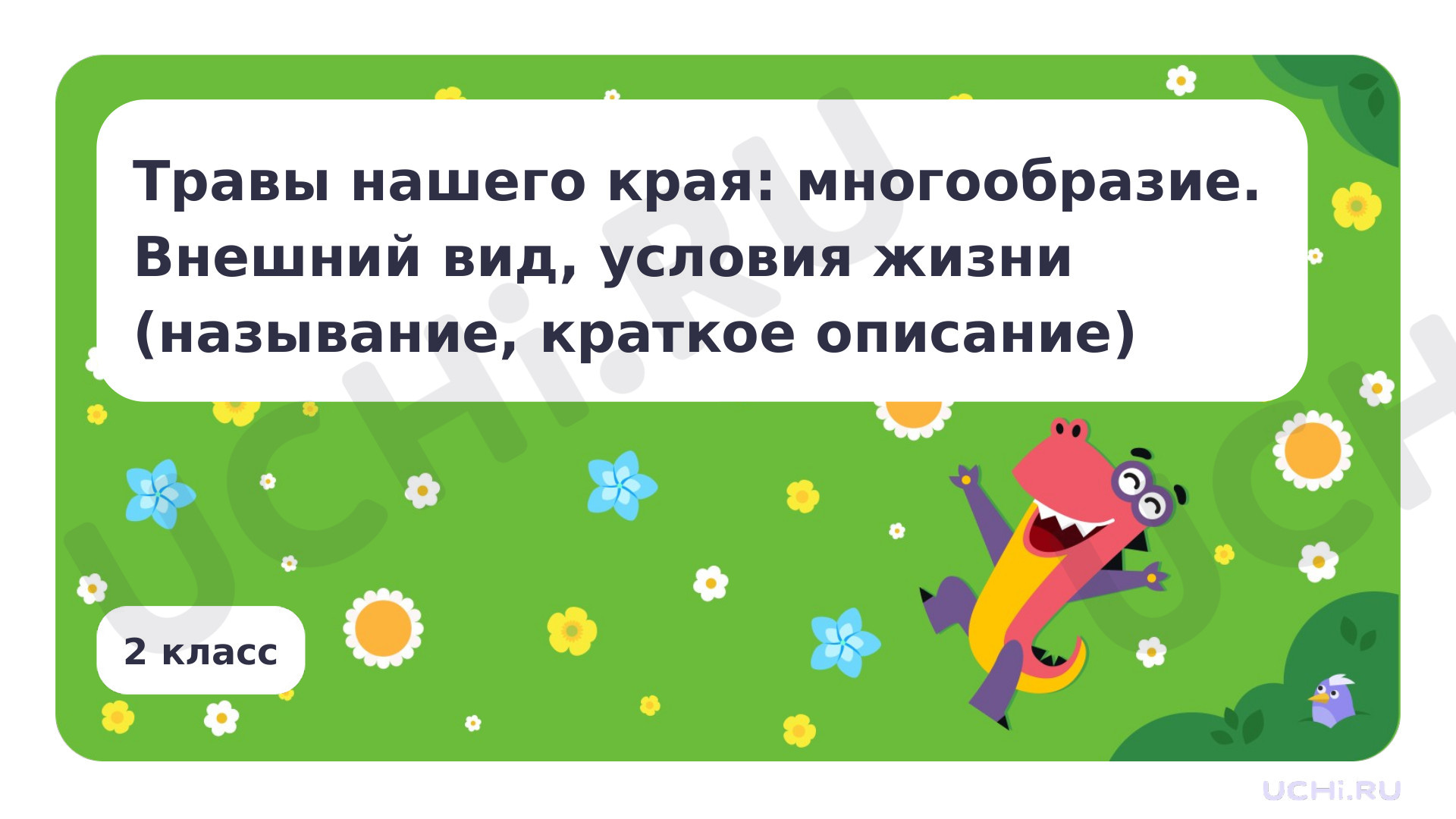 Предпросмотр материала Травы нашего края: многообразие