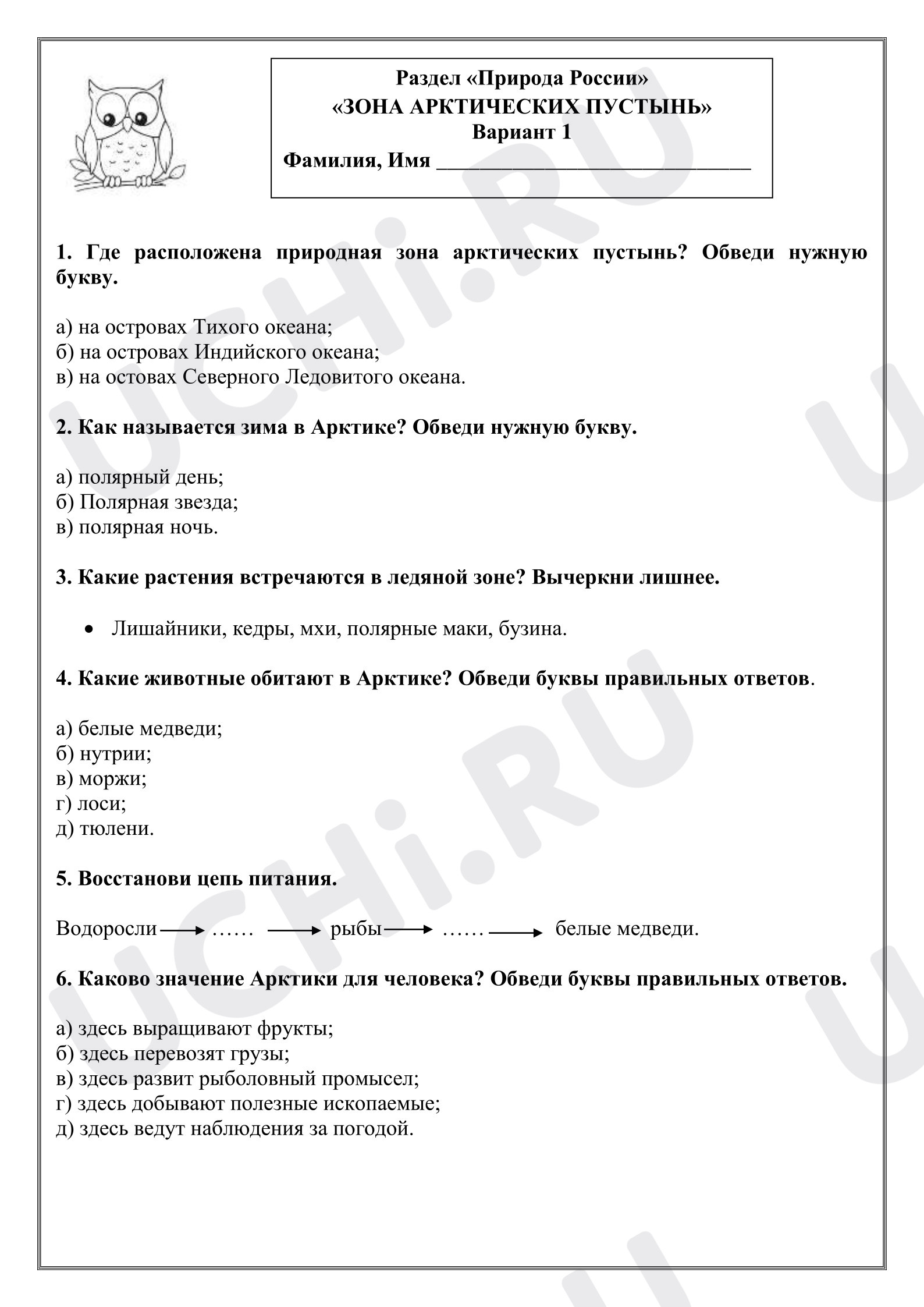 Предпросмотр материала Проверочная работа к уроку окружающего мира. Тест "Зона арктических пустынь"