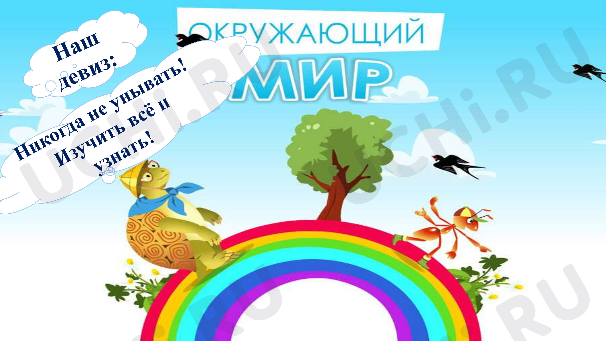 Предпросмотр материала Звери — млекопитающие