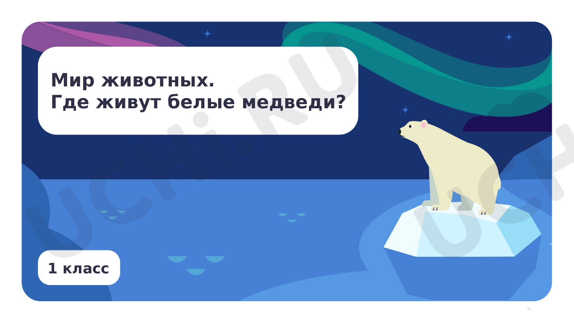 Предпросмотр материала Мир животных. Где живут белые медведи?